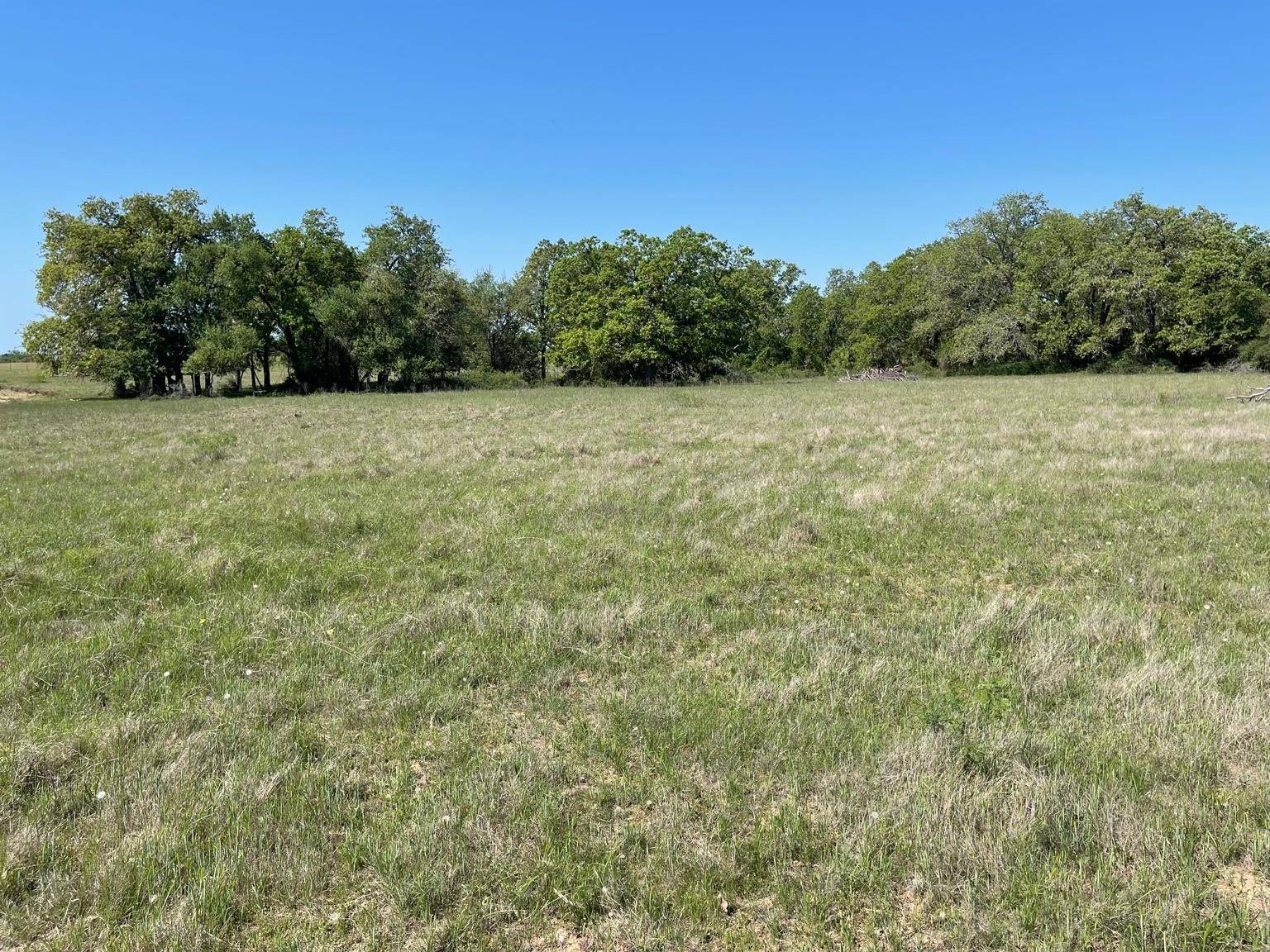 TBD County Road 322, Rockdale, TX 76567