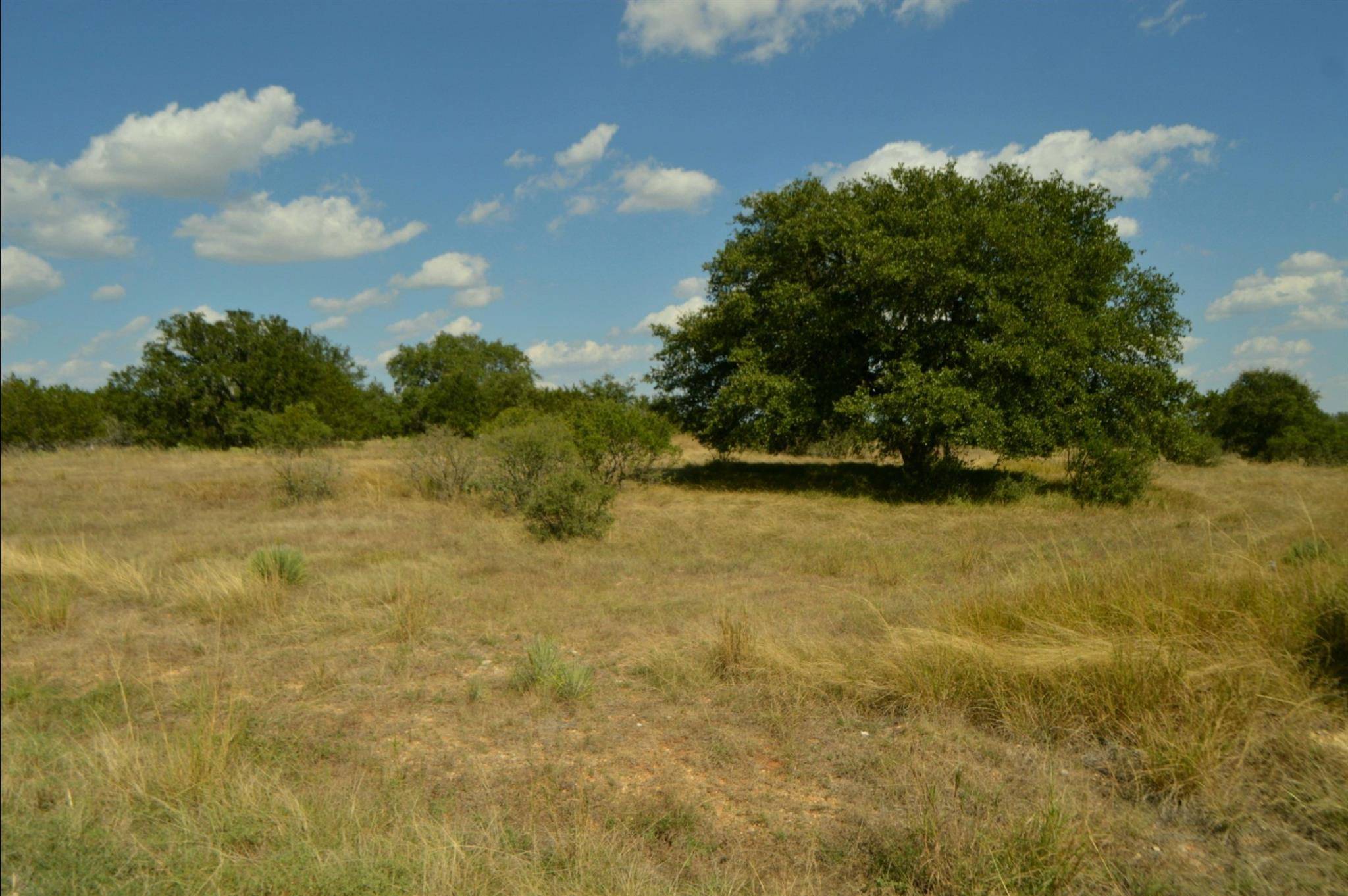Lot 407 Palomino Springs, Bandera, TX 78003