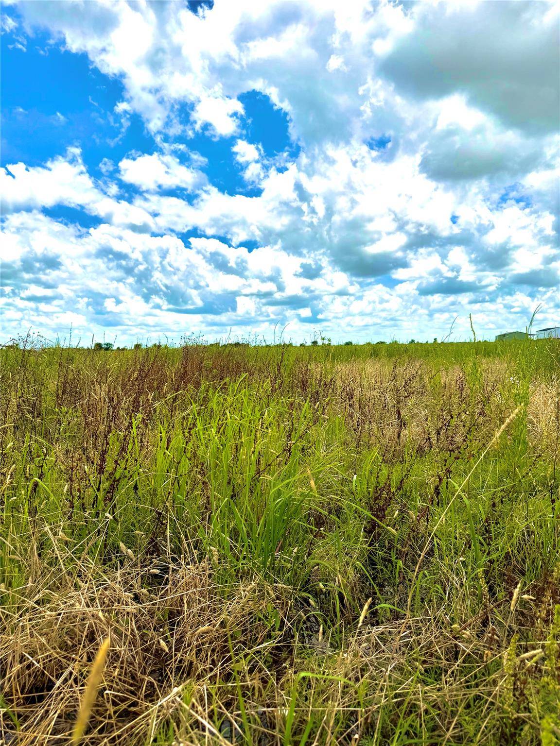 TBD Tract 4 Beal RD, Eagle Lake, TX 77434