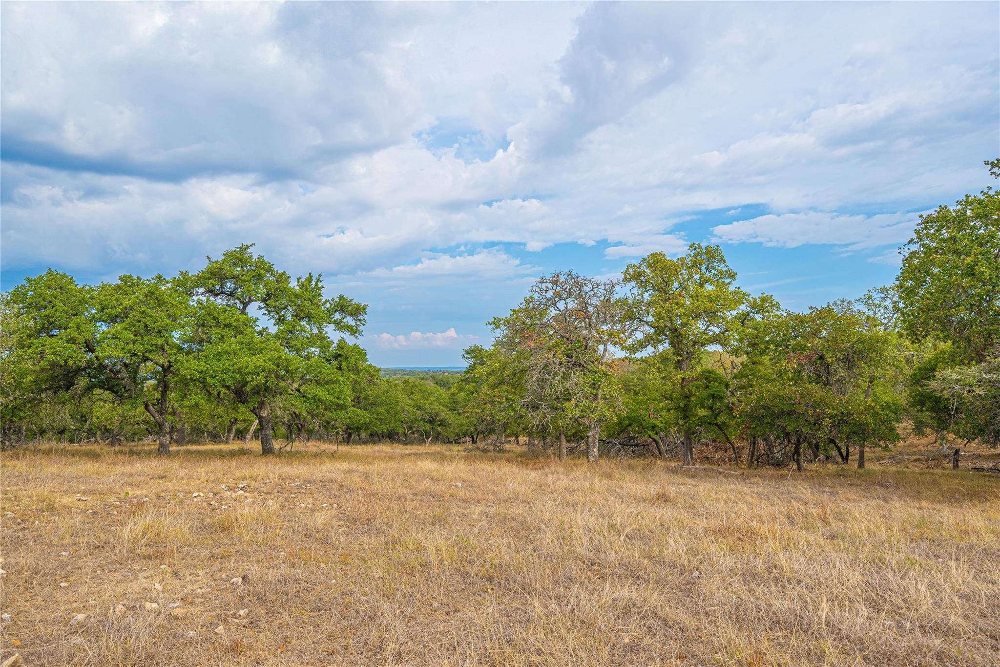 11300 FM 1888, Blanco, TX 78624