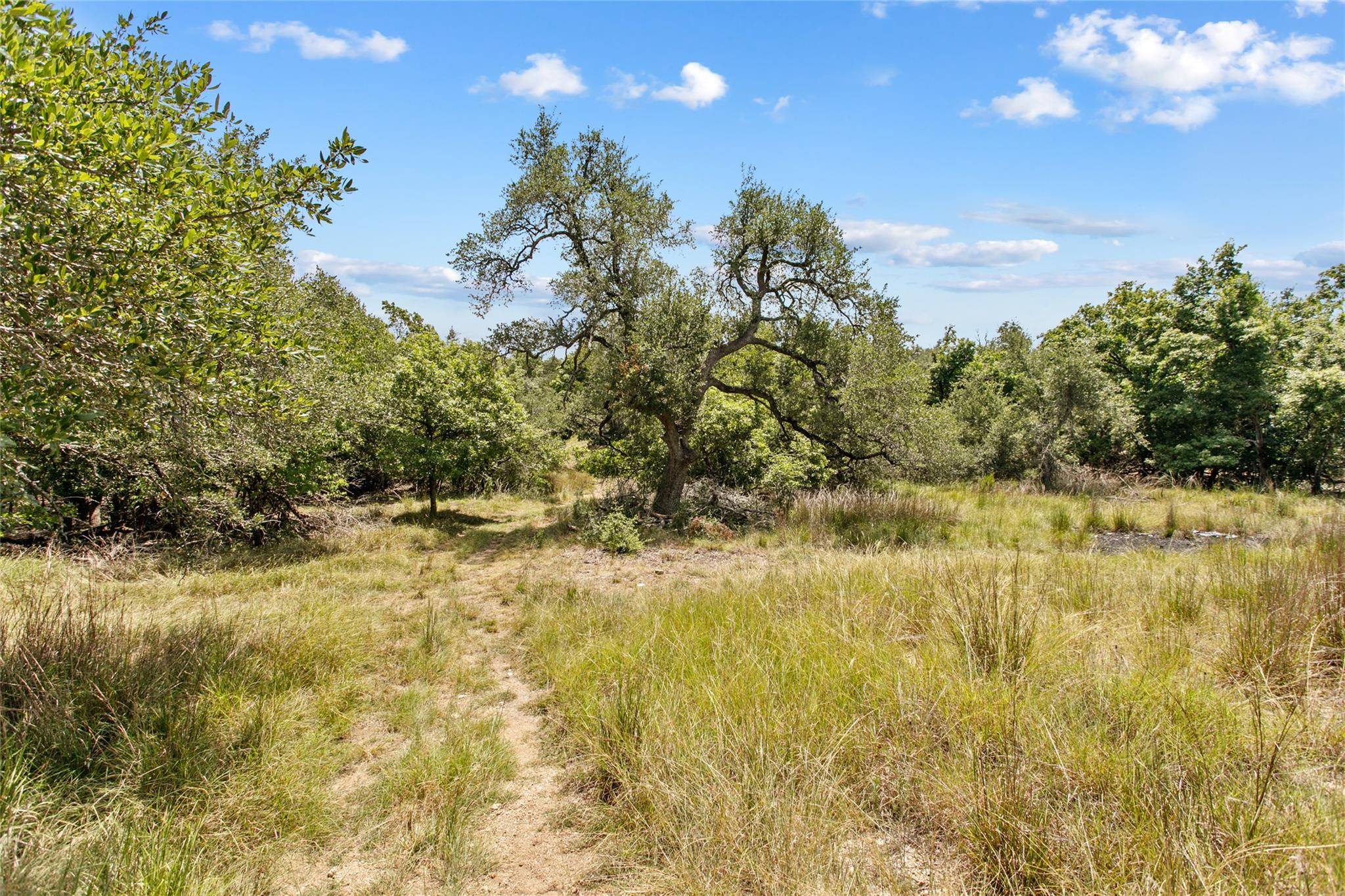 150 Oak Grove DR, Dripping Springs, TX 78620