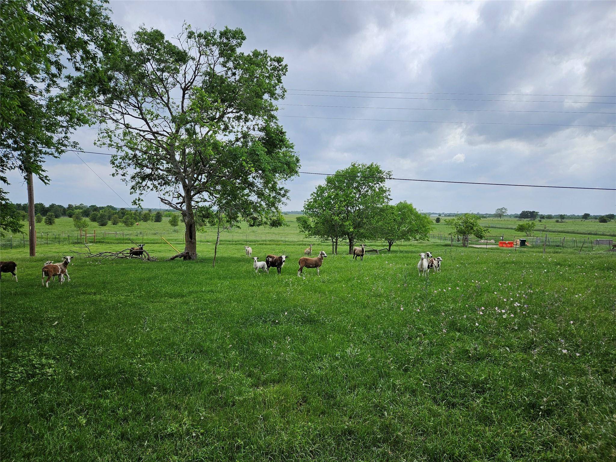 20326 Fm 969, Manor, TX 78653