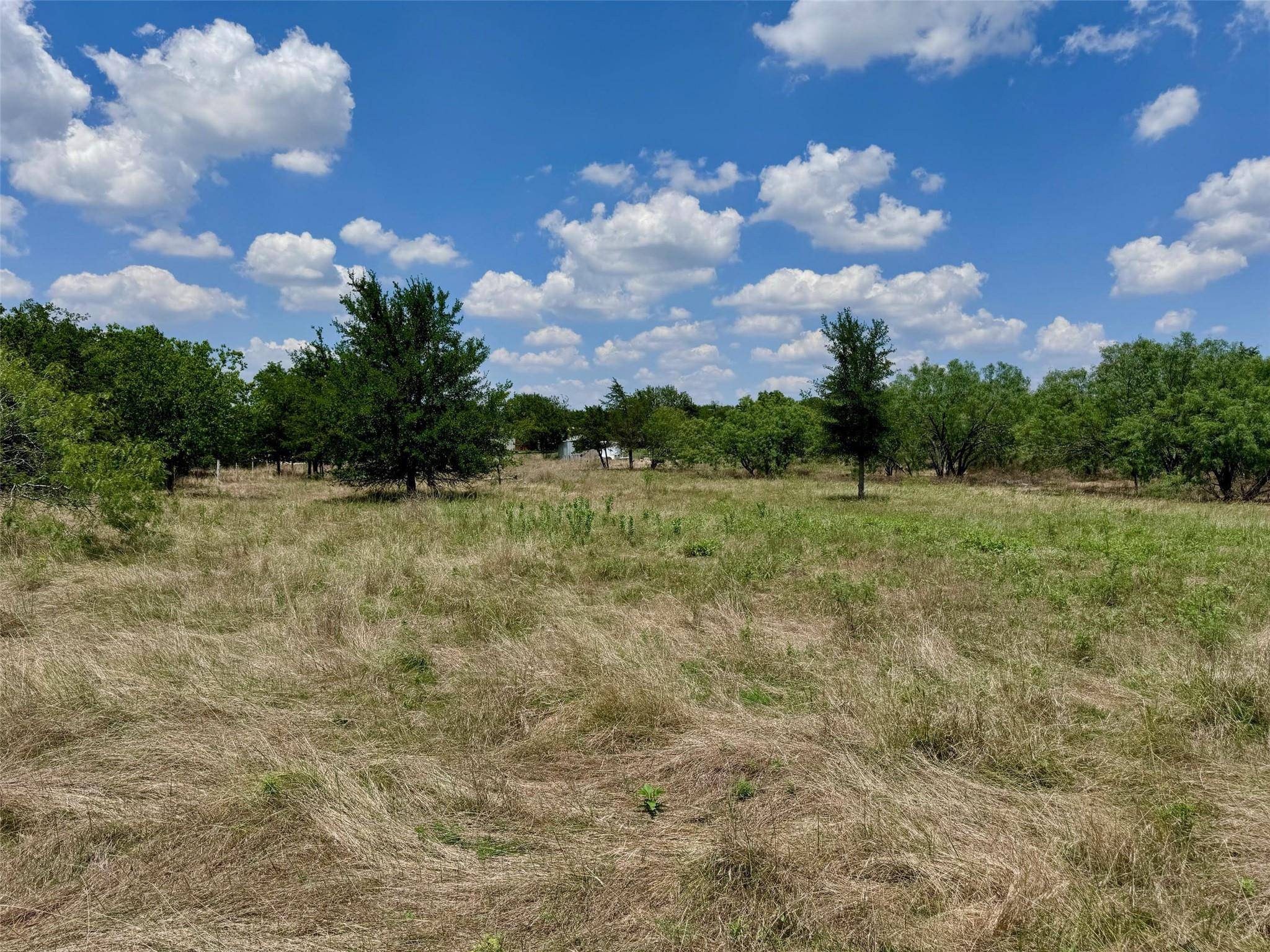8311 Evelyn RD, Buda, TX 78610