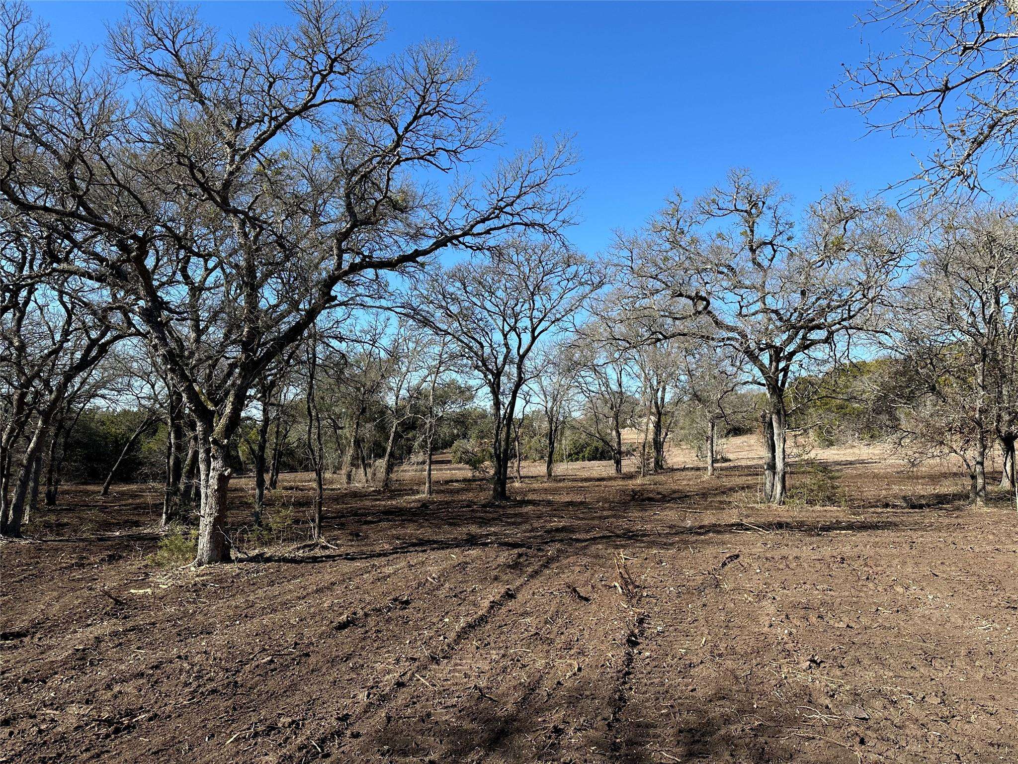 Tract 1 FM 2955, Gatesville, TX 76528