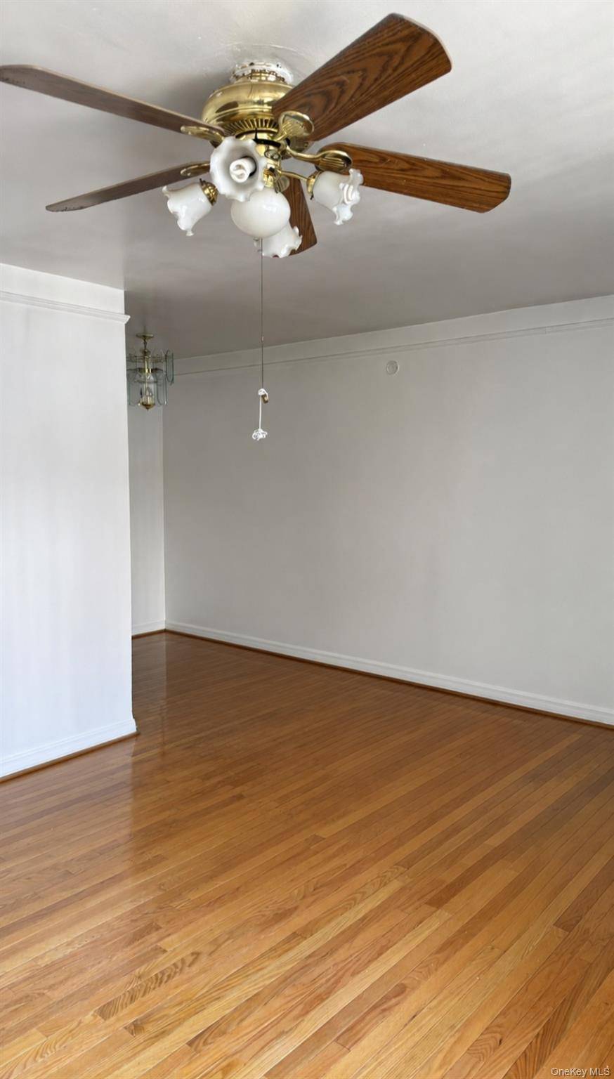 214-07B Hillside Ave #Unit B, Queens Village, NY 11427