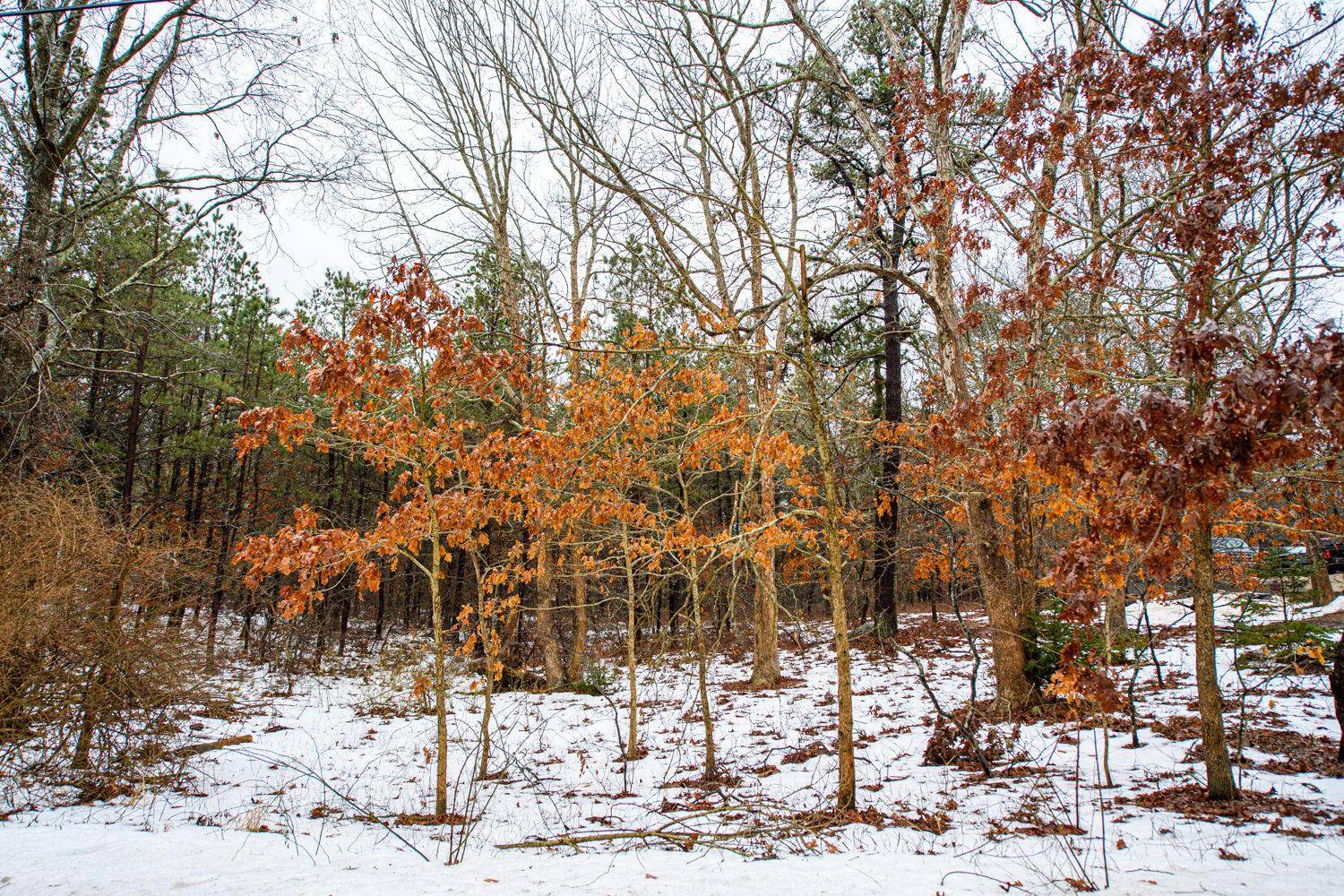 Elizabeth Way, Ridge, NY 11961