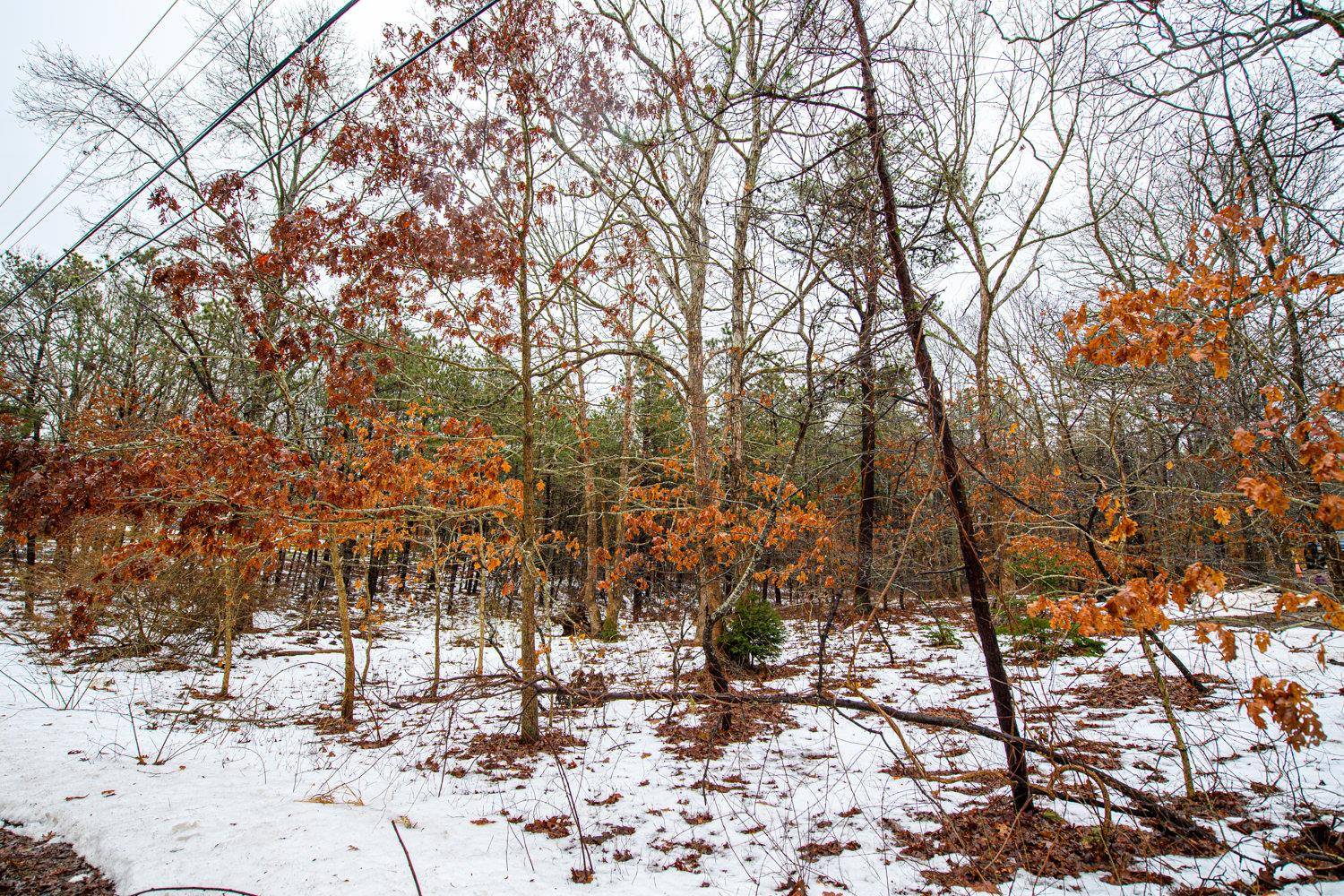 Elizabeth Way, Ridge, NY 11961