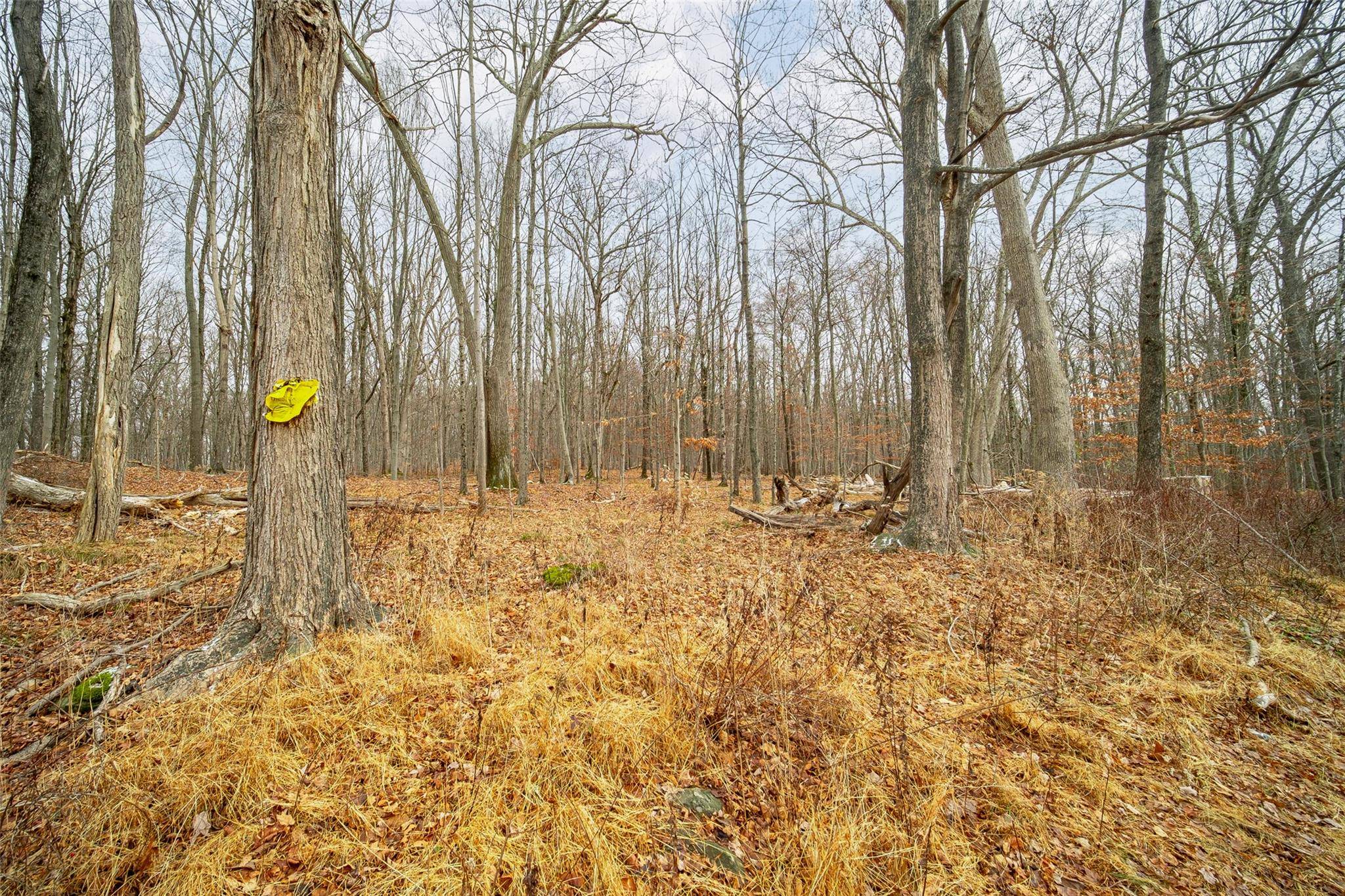 Baker Road, Hopewell Junction, NY 12533