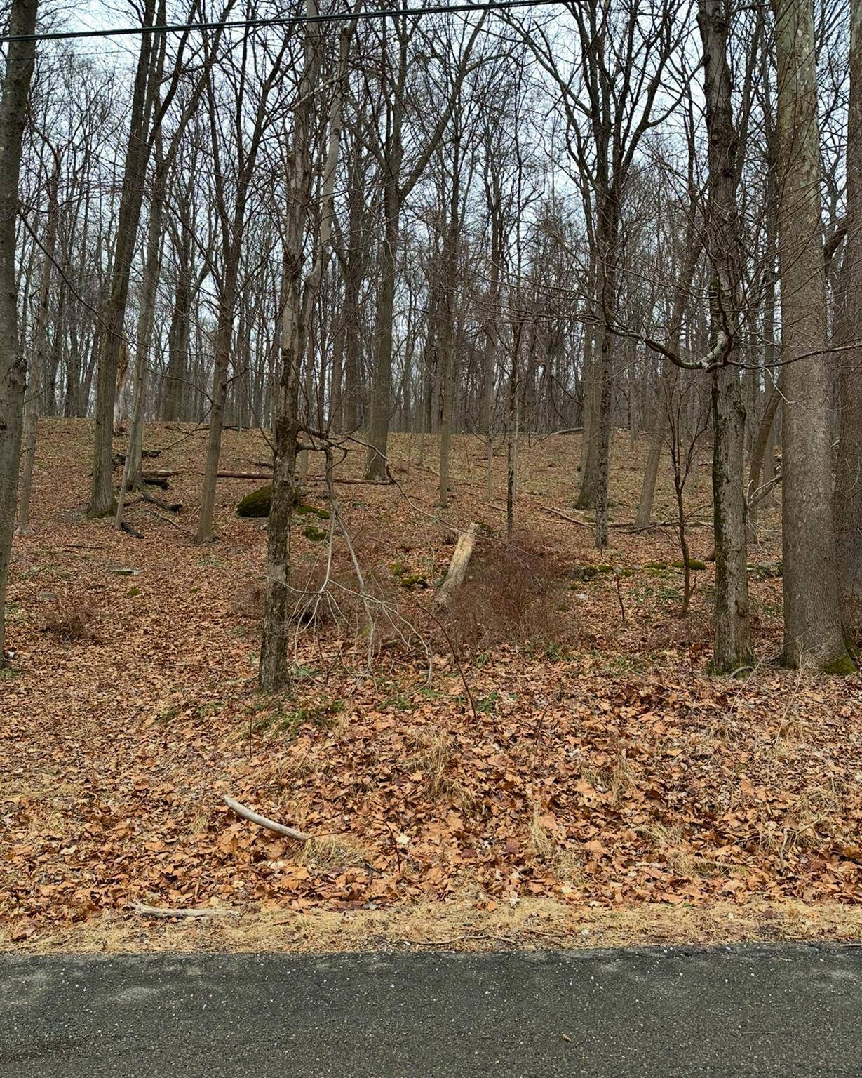 16 Laura LN, Hopewell Junction, NY 12533