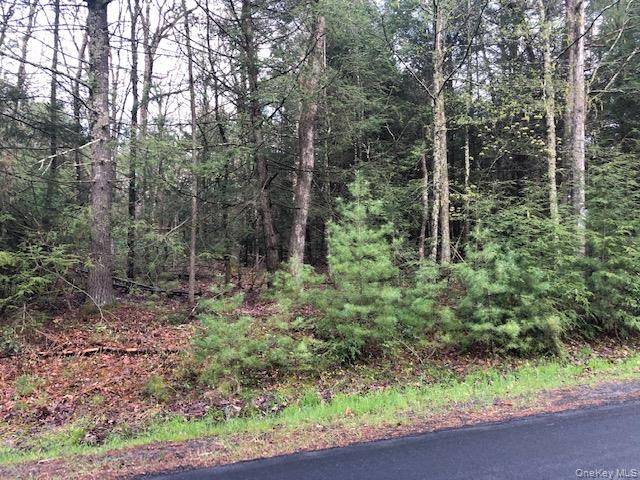Crawford RD, Barryville, NY 12528