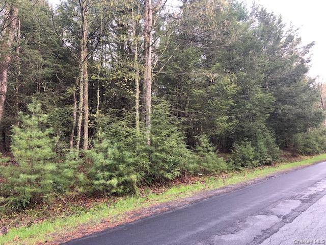 Crawford RD, Barryville, NY 12528