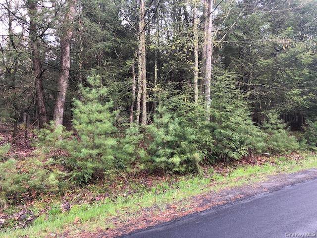 Crawford RD, Barryville, NY 12528