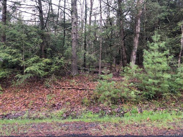 Crawford RD, Barryville, NY 12528
