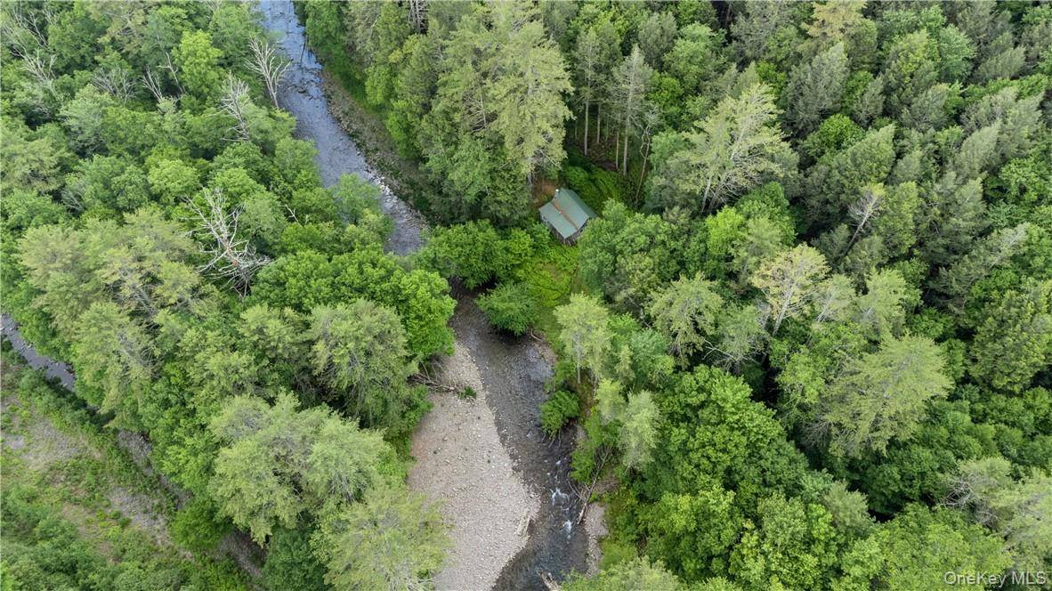 56 Saw Mill RD, Claryville, NY 12725