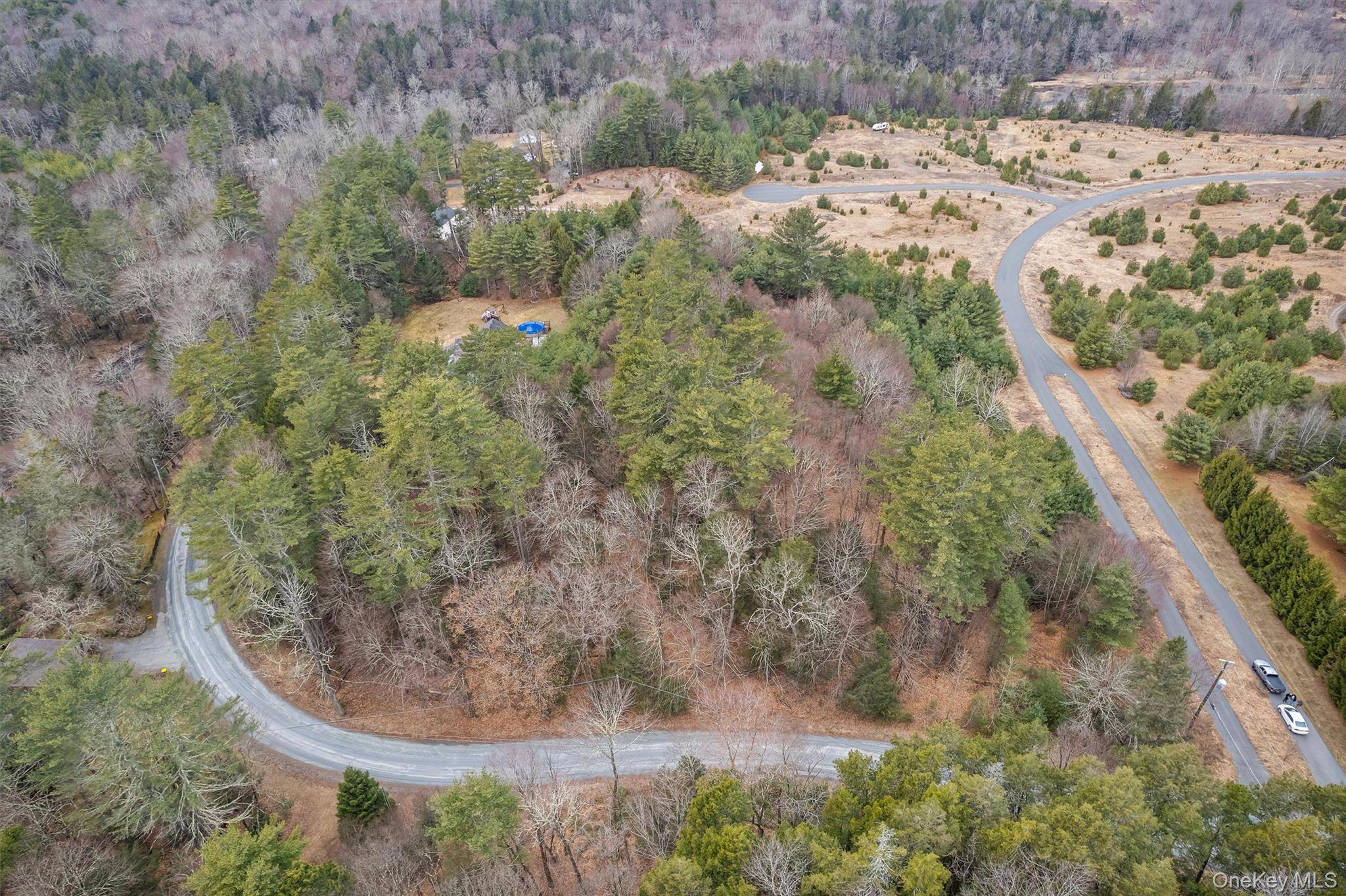 Lot 4 Marsh RD, Fallsburg, NY 12733