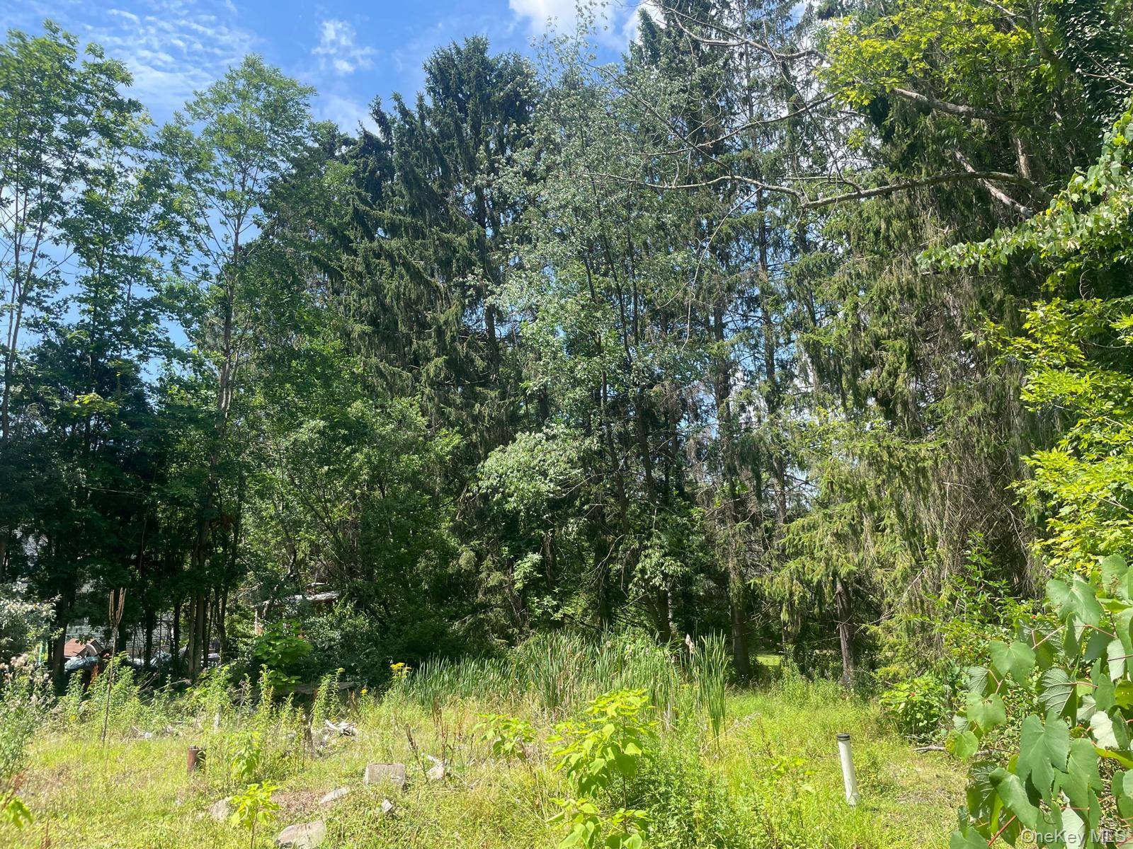 33 Dudley Street Harveys Lake, Pennsylvania ST, Other, PA 18618