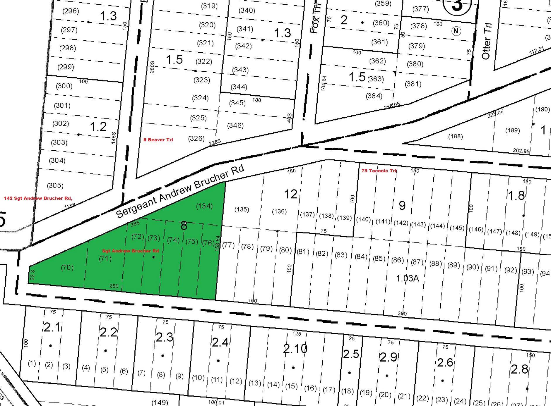 Lot 8 Sgt Andrew Brucher RD, Bethel, NY 12720