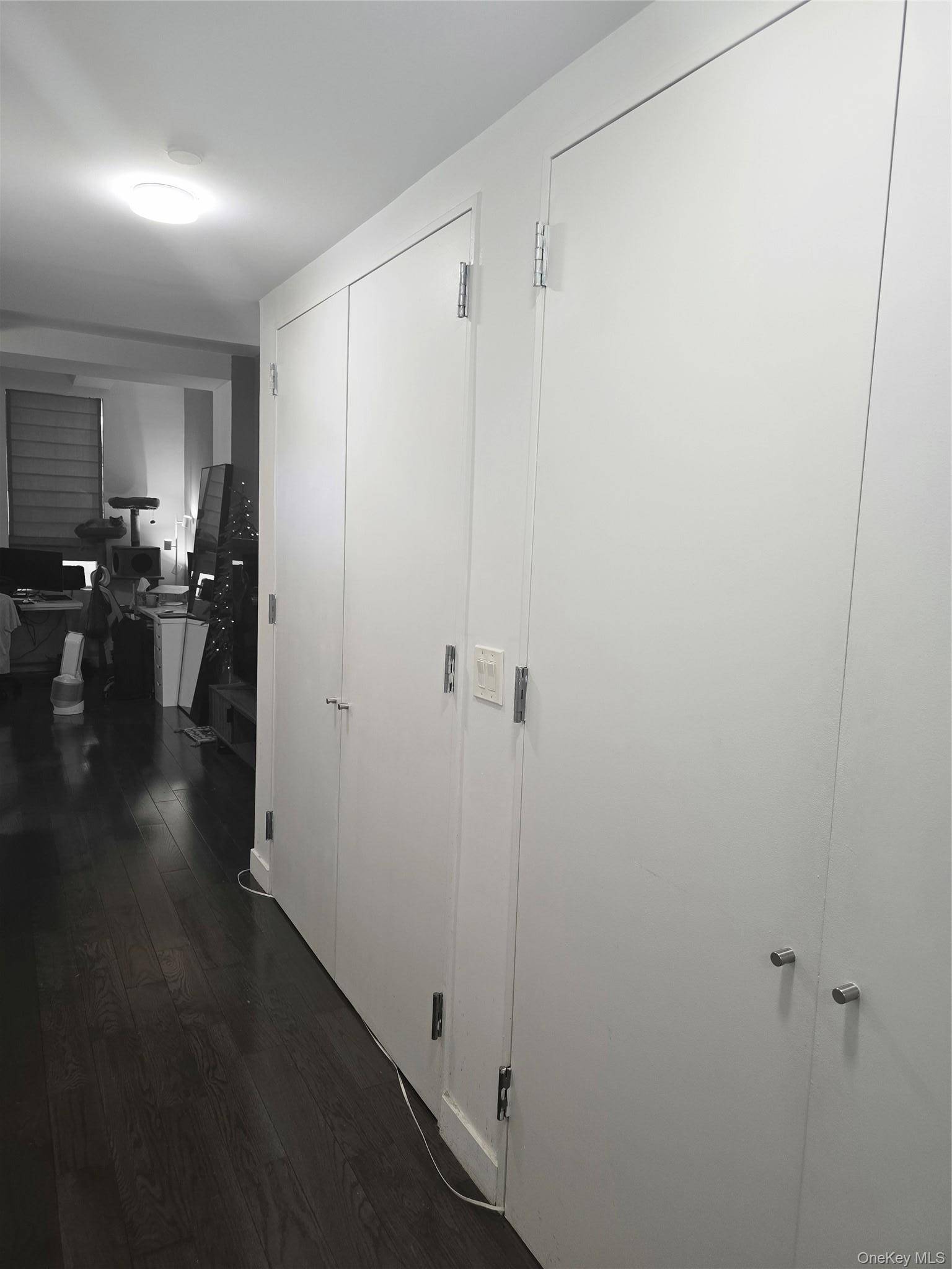 119 Fulton ST #5B, New York (manhattan), NY 10038
