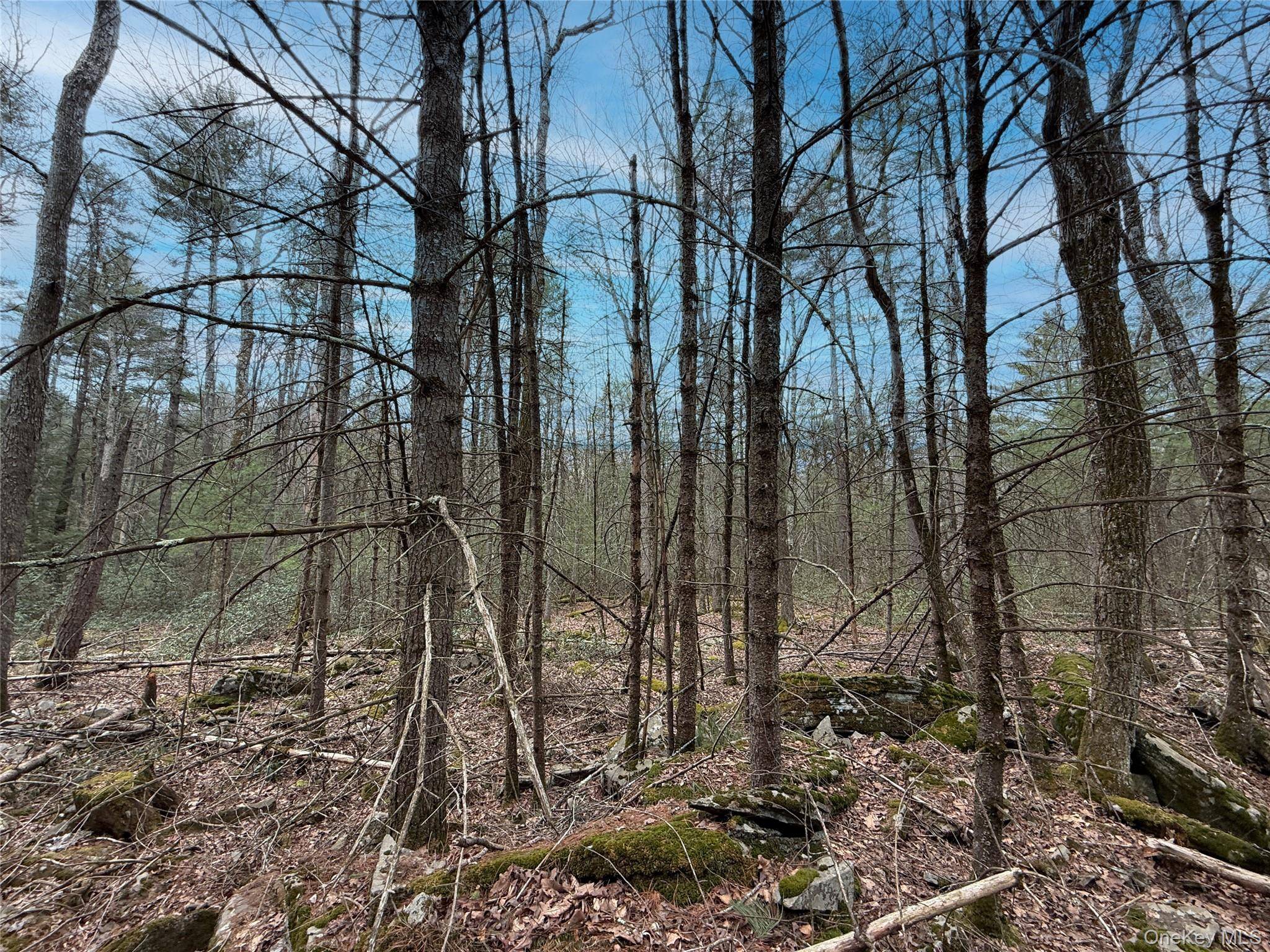 Summit DR, Barryville, NY 12792