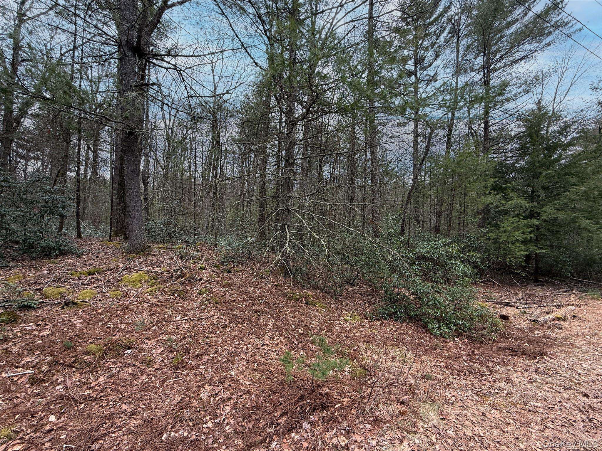 Summit DR, Barryville, NY 12792