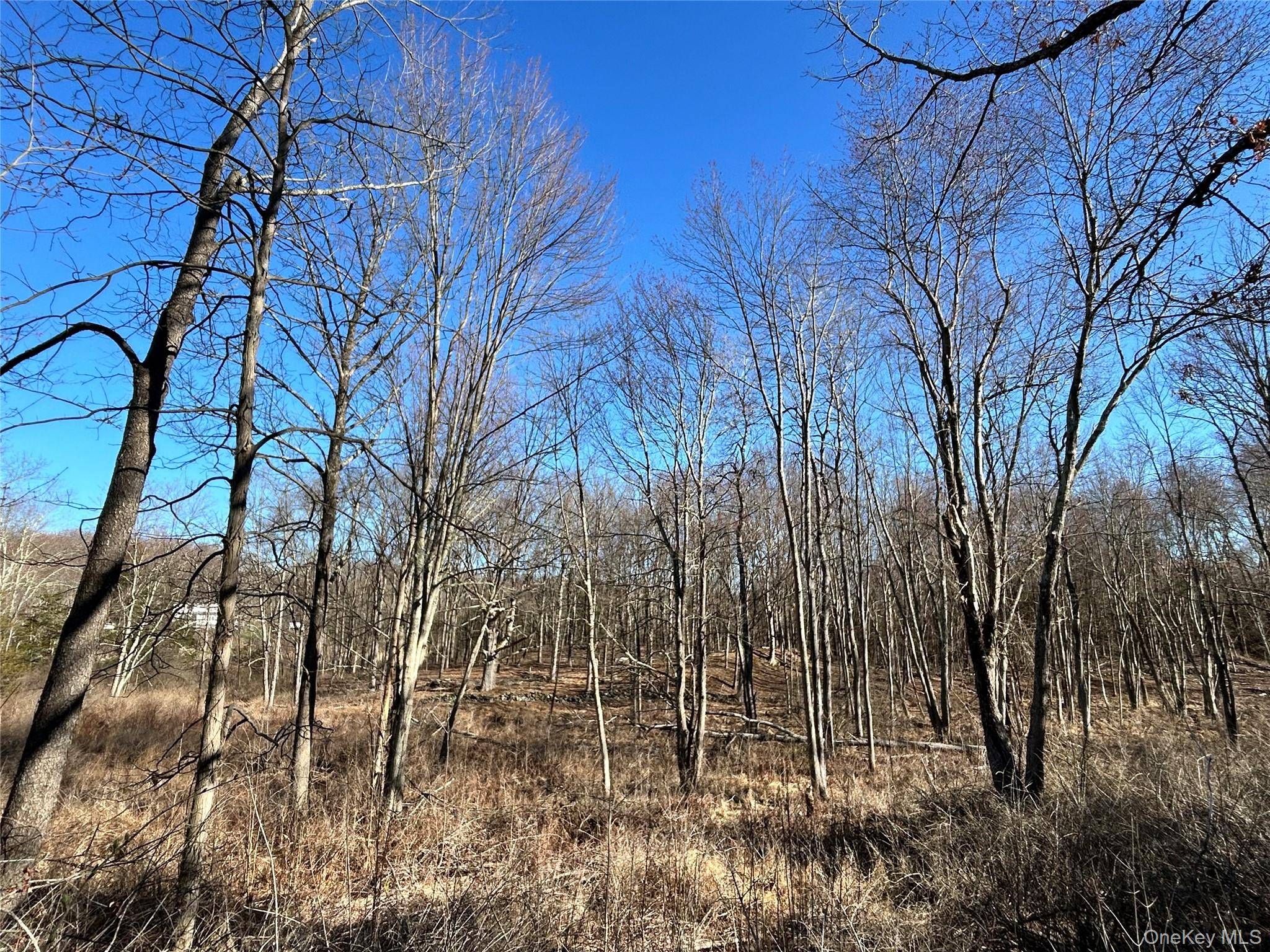 Rt-9G, Rhinebeck, NY 12572