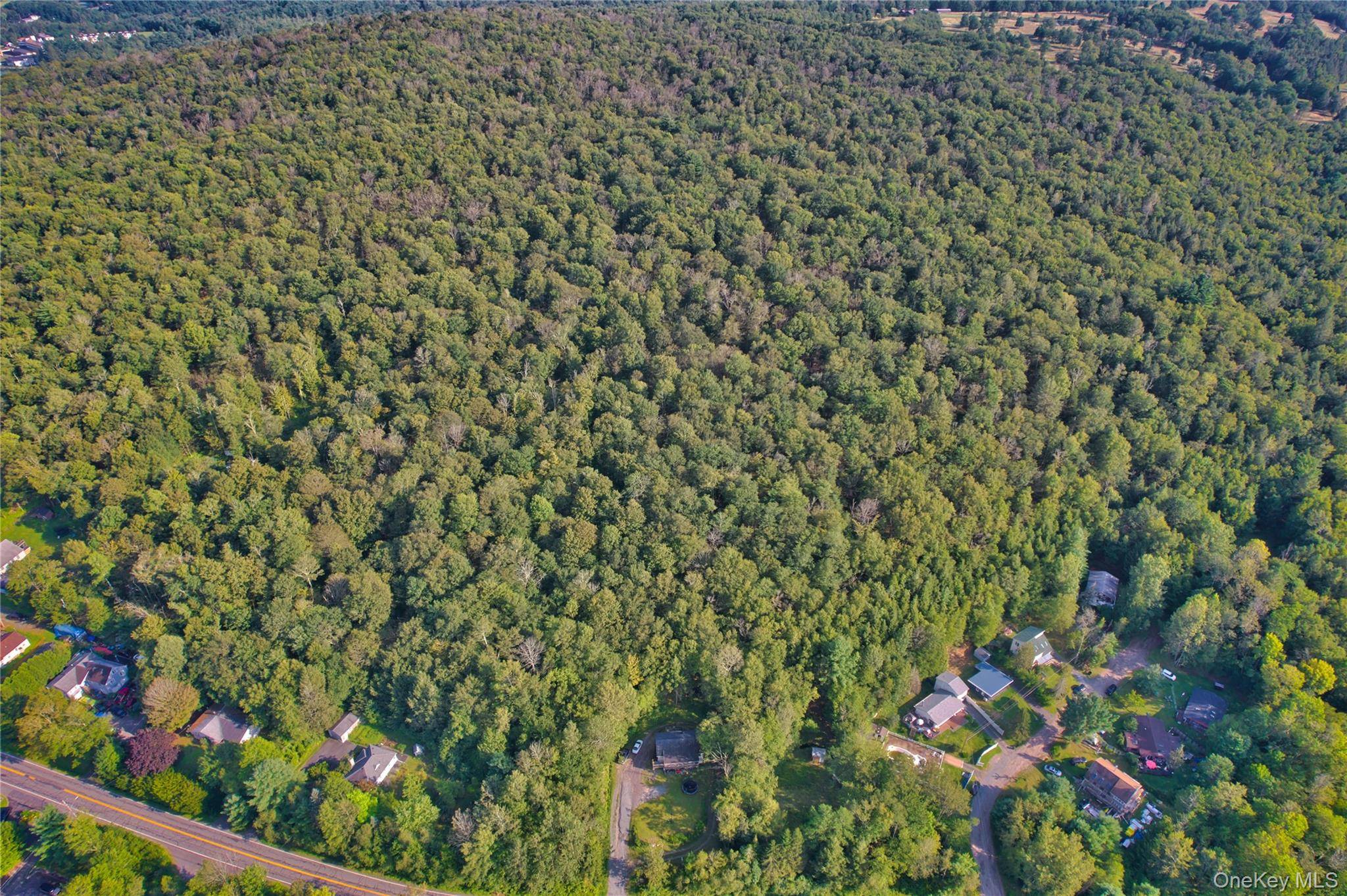 39 Birch LN, Swan Lake, NY 12783
