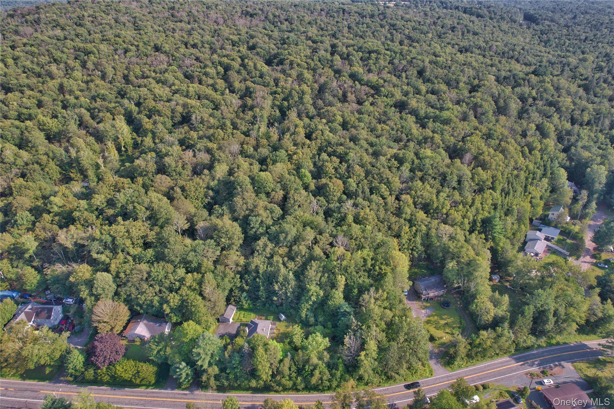 39 Birch LN, Swan Lake, NY 12783