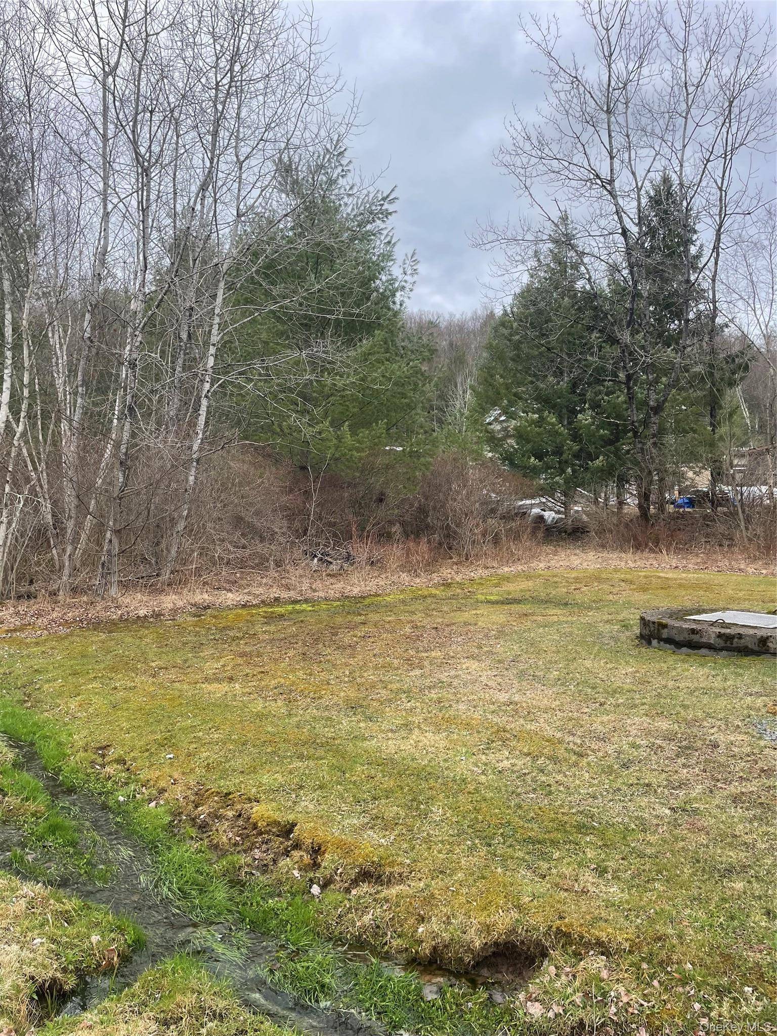 39 Birch LN, Swan Lake, NY 12783
