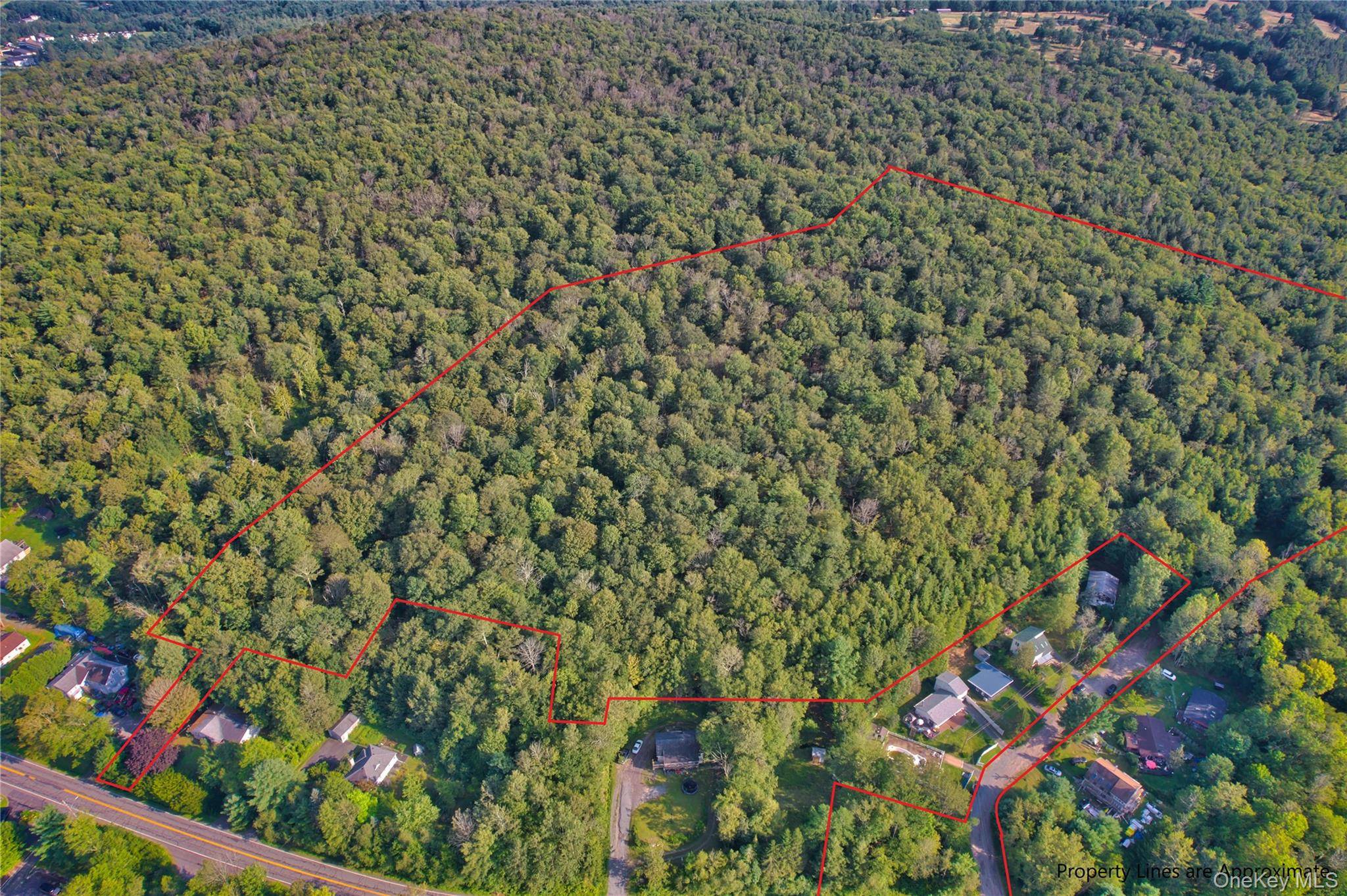 39 Birch LN, Swan Lake, NY 12783