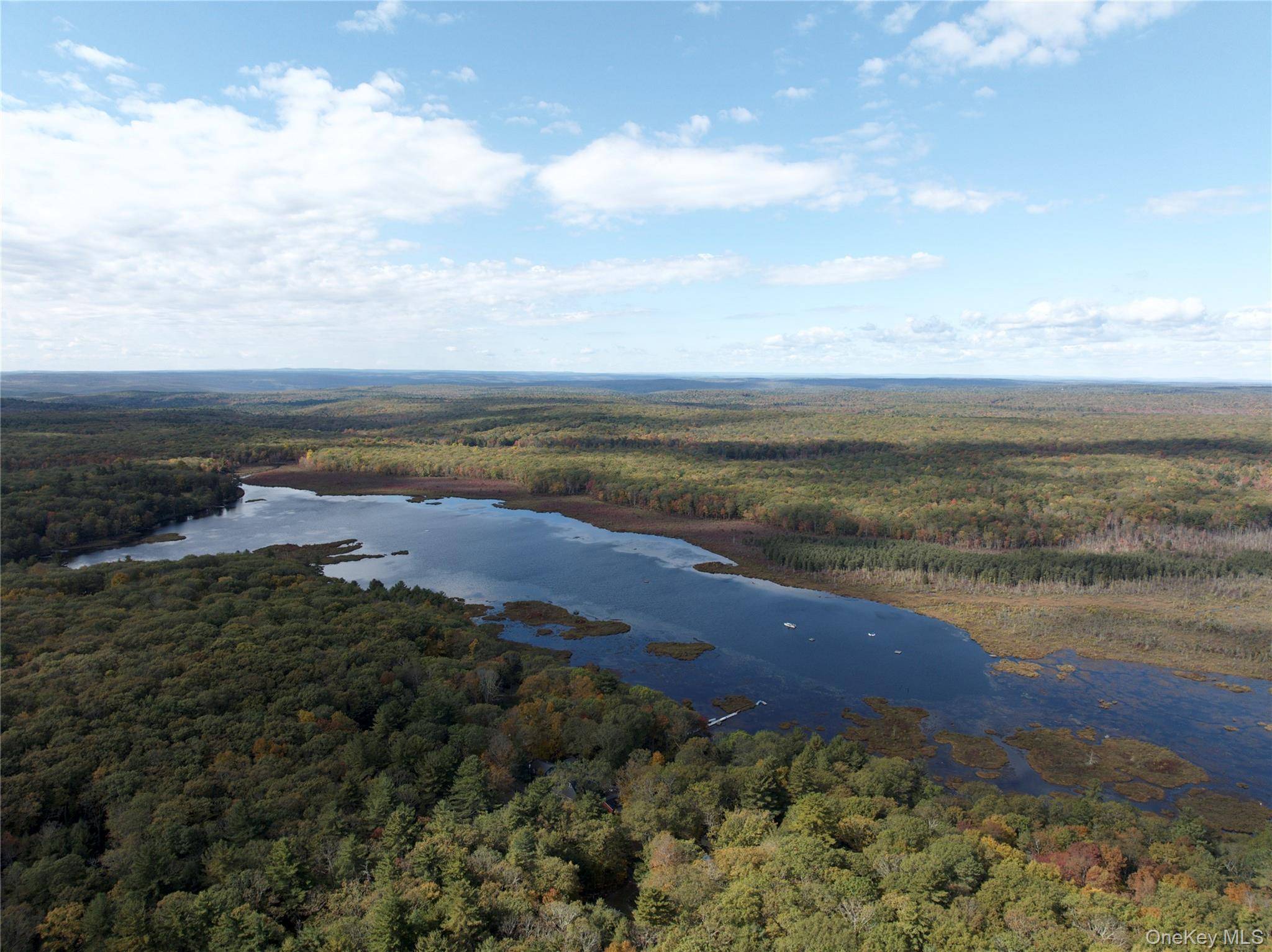 3 Big Lake RD, Huguenot, NY 12746