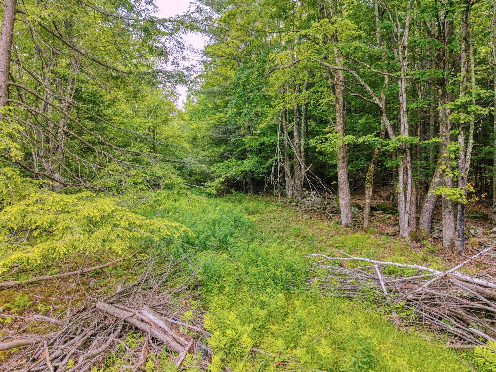 TBD Boulder Brook lot 13B RD, Windham, NY 12496