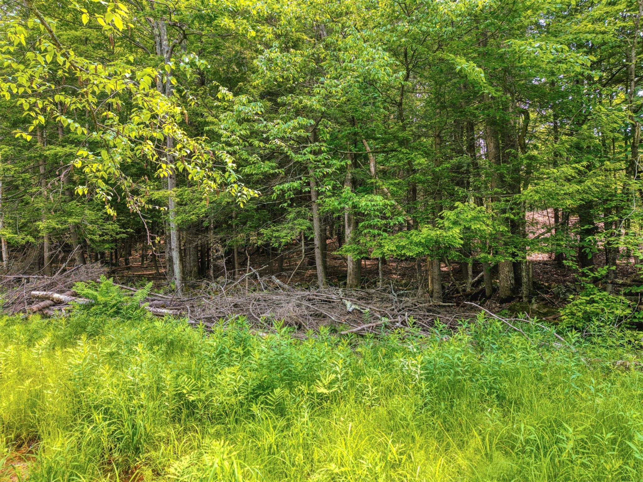 TBD Boulder Brook lot 13B RD, Windham, NY 12496