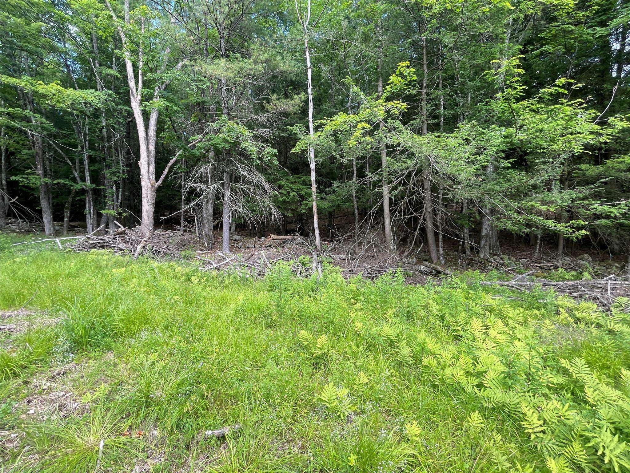 TBD Boulder Brook lot 13B RD, Windham, NY 12496
