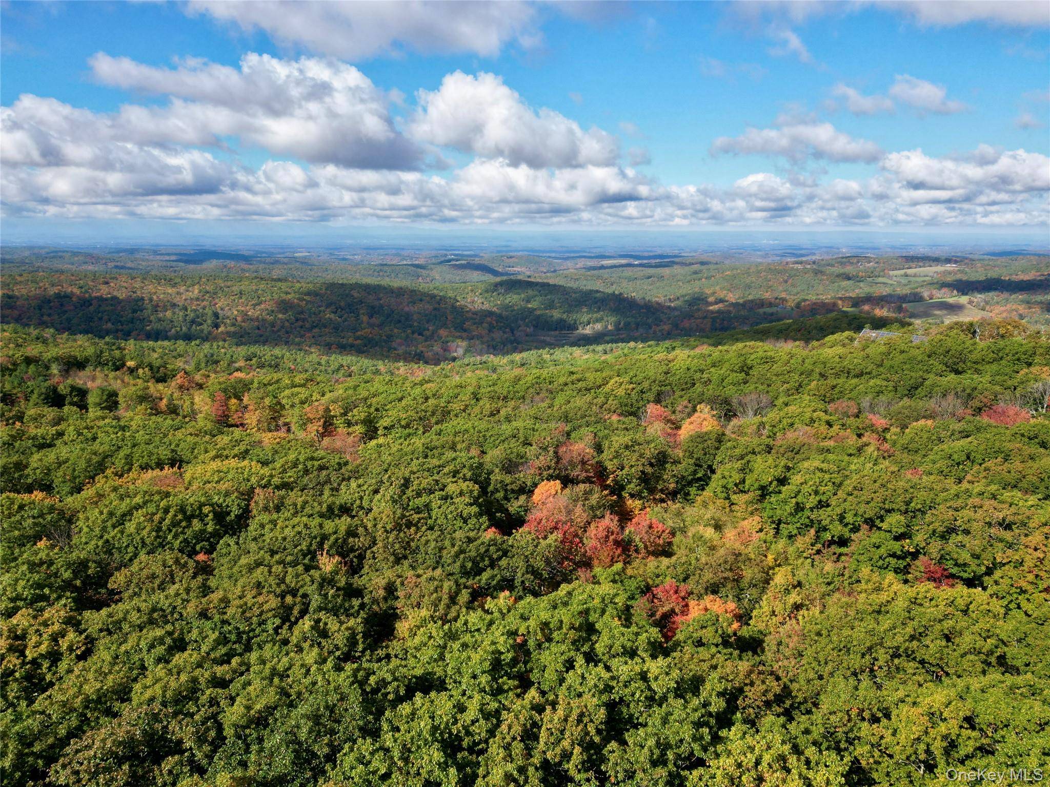 400 Mercer Mountain RD, East Chatham, NY 12060