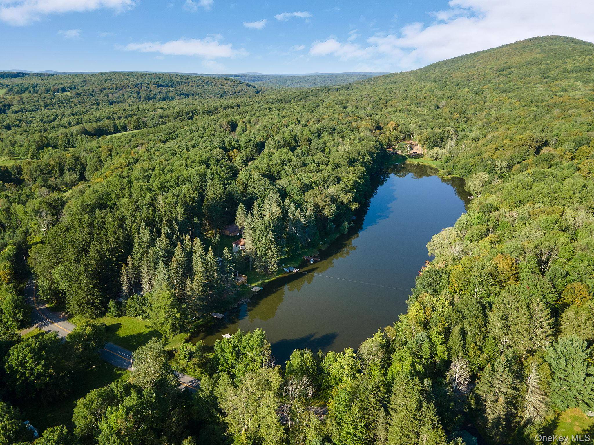 106 Earles LN, Gilboa, NY 12076