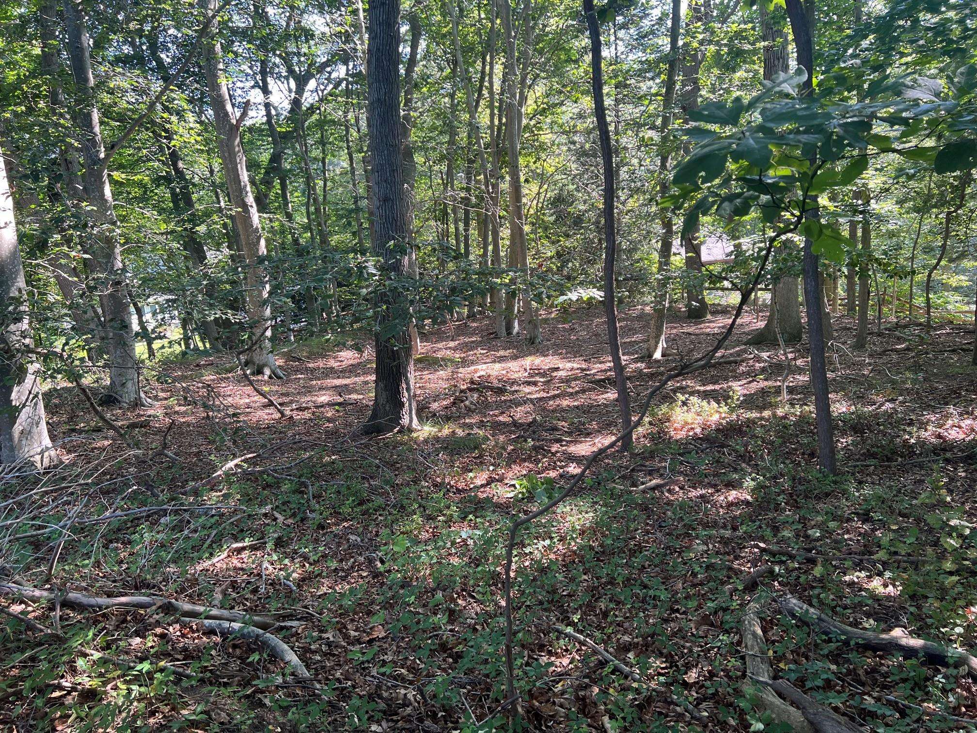Fern RD, Calverton, NY 11933