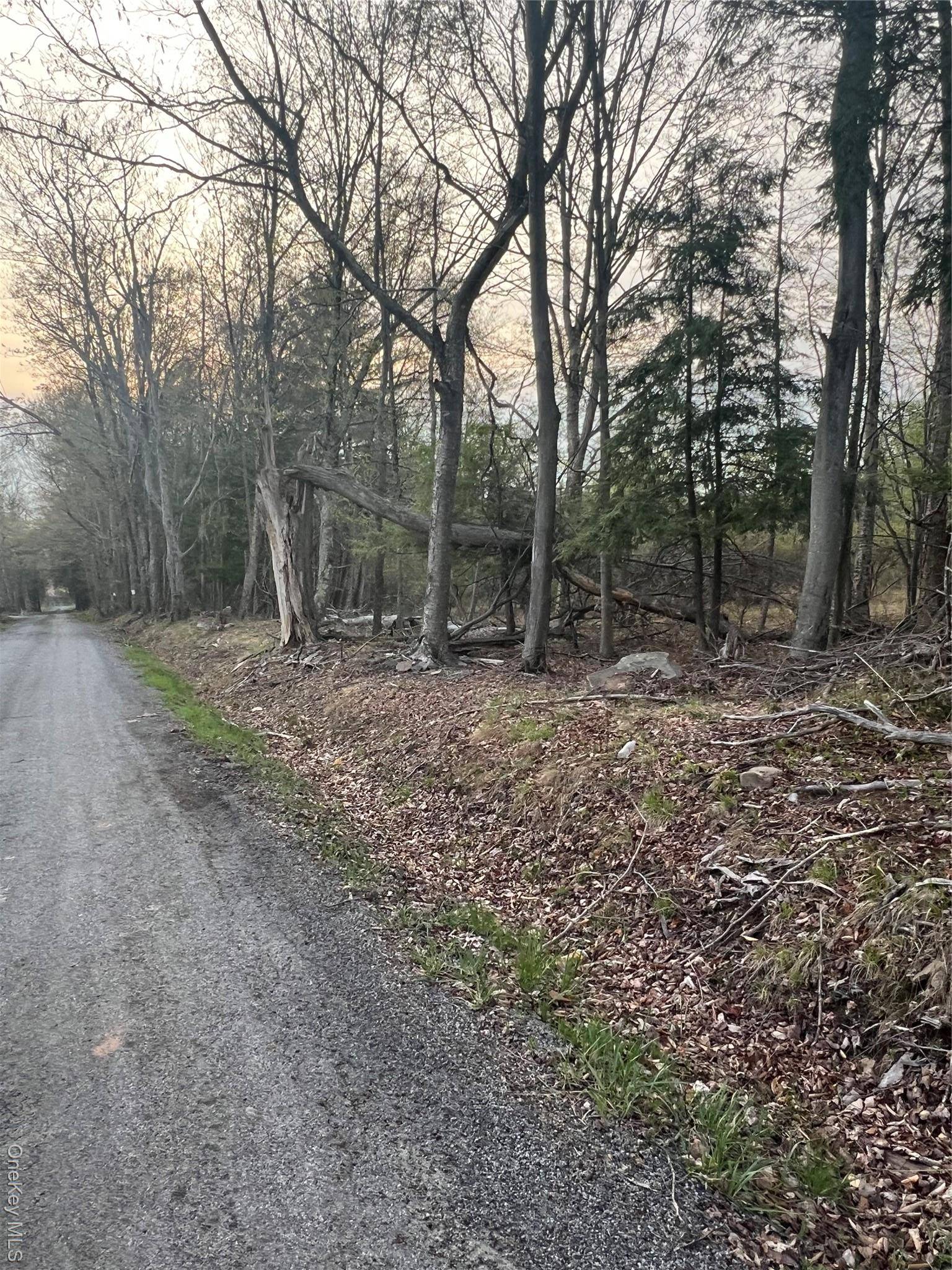 838 Old Liberty Road, Monticello, NY 12701