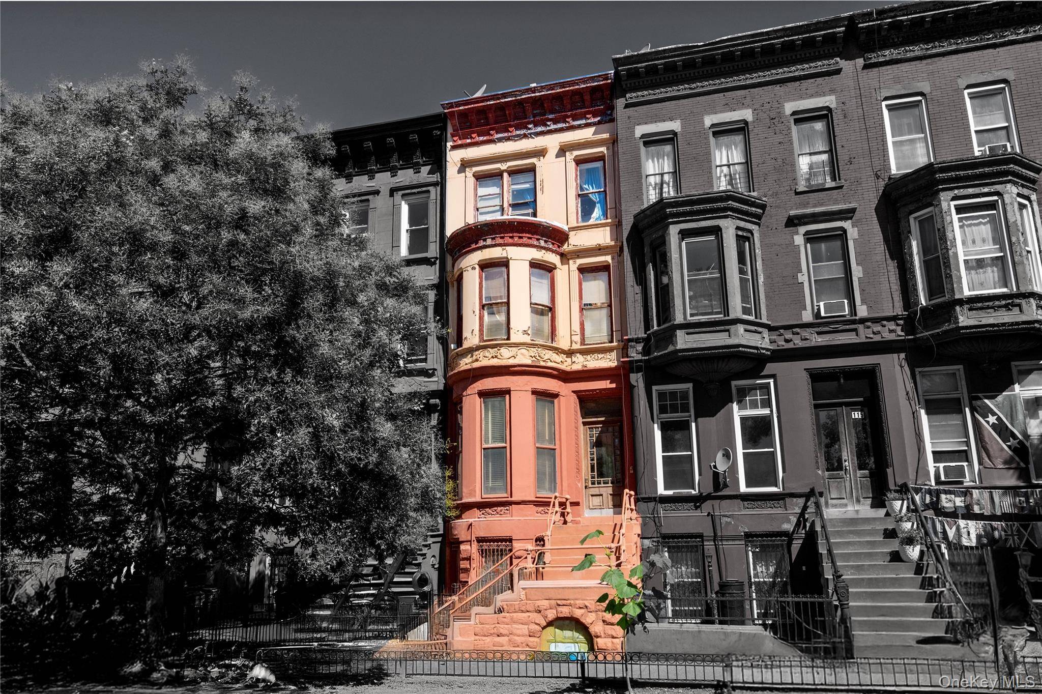 113 Halsey ST, Brooklyn, NY 11216