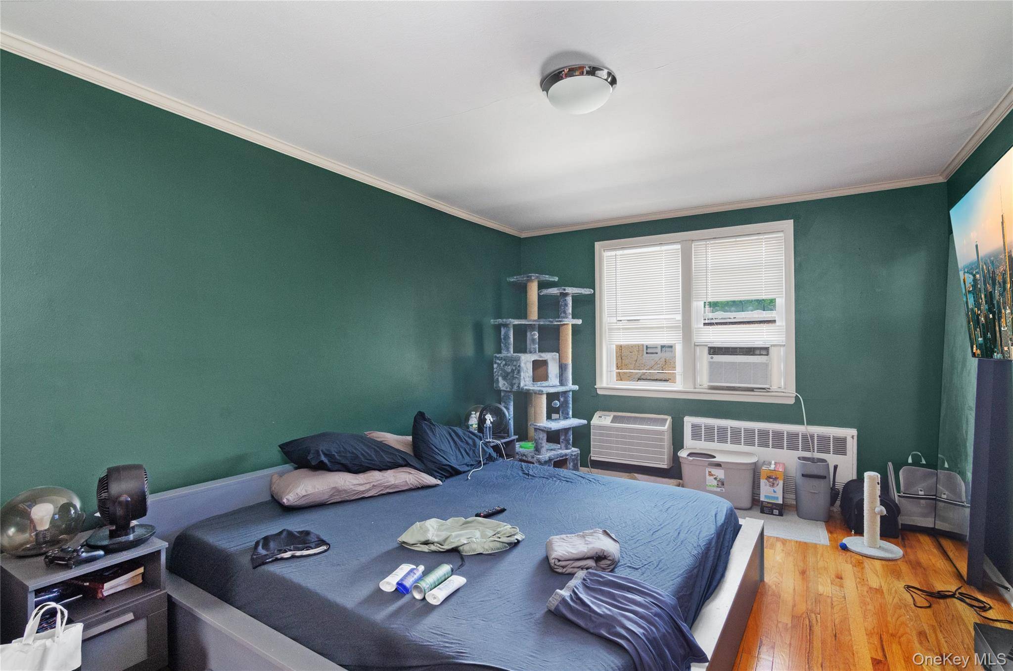 742 E 58th ST, Brooklyn, NY 11234