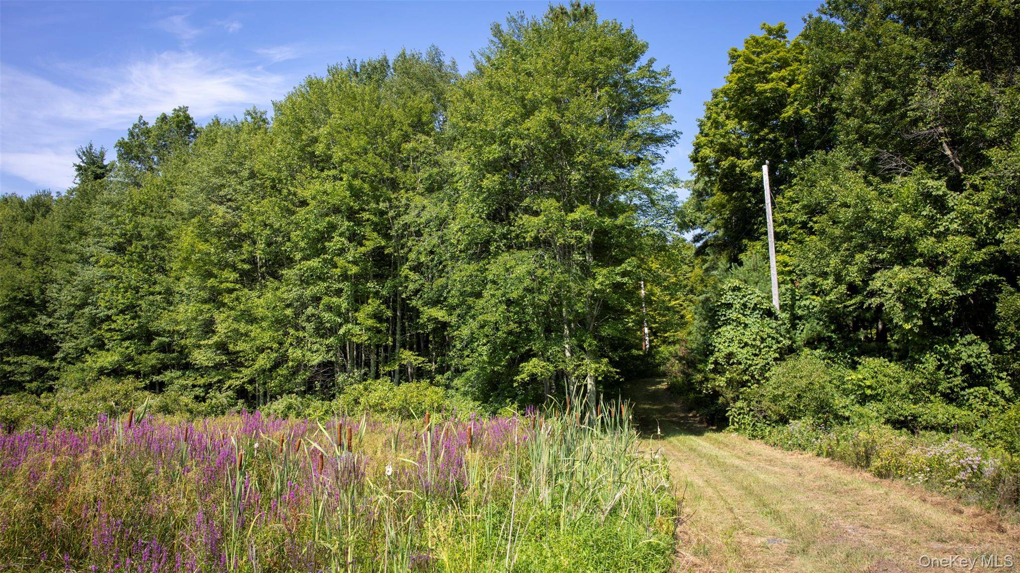 327 Phillips RD, Saugerties, NY 12477
