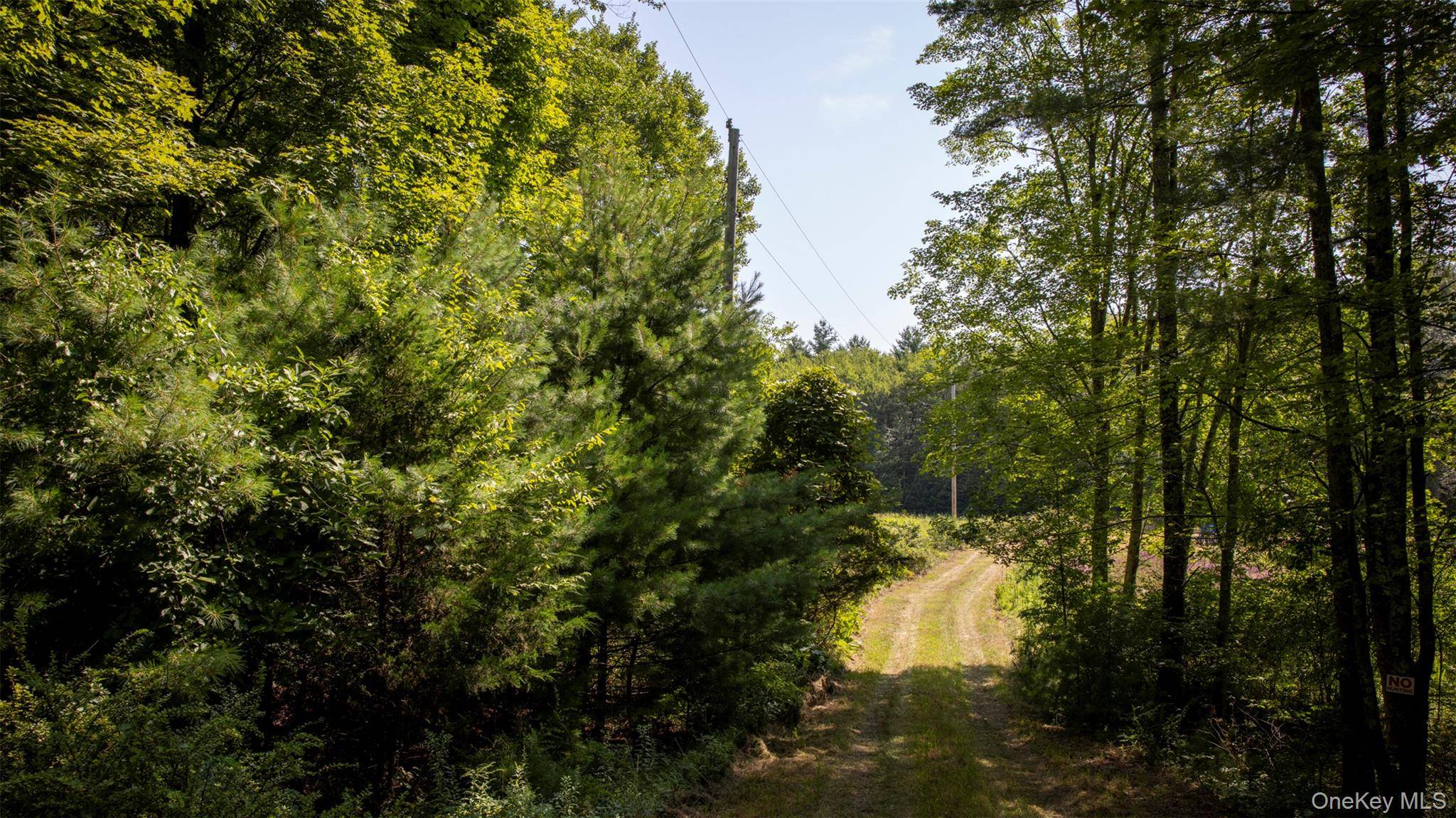 327 Phillips RD, Saugerties, NY 12477