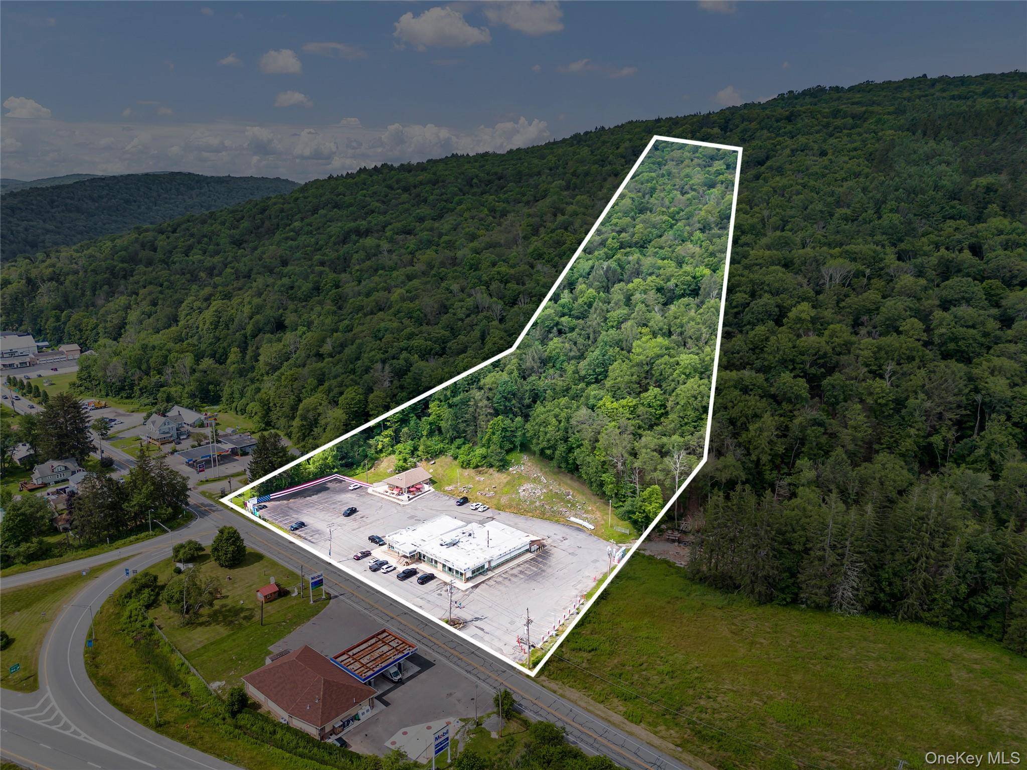 1908 Old Route 17, Roscoe, NY 12776
