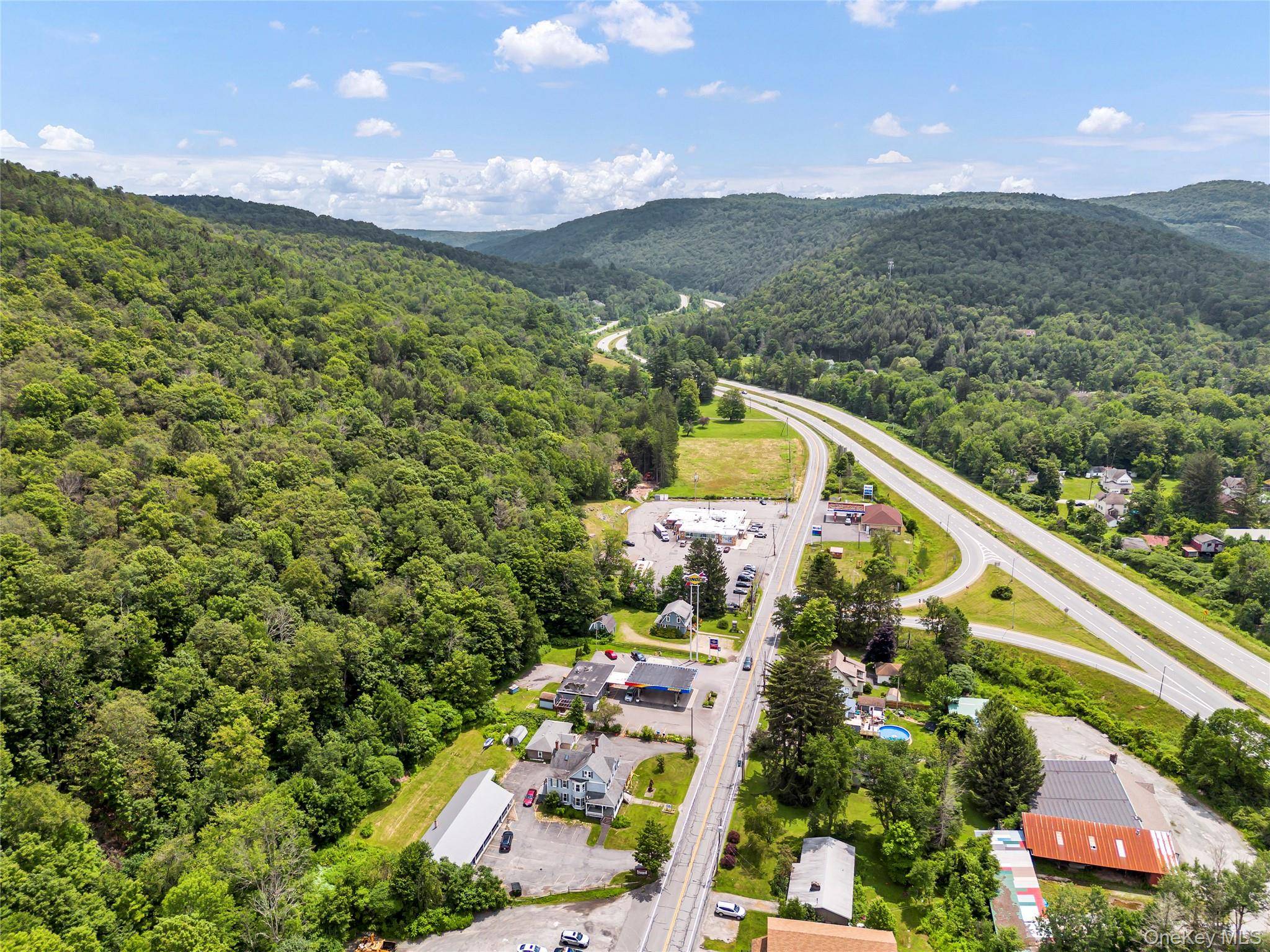 1908 Old Route 17, Roscoe, NY 12776