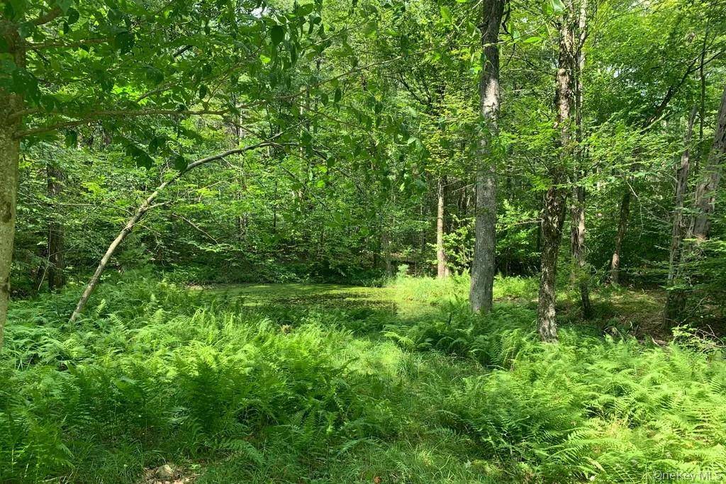 Lot 23 Woodstone Trail, White Lake, NY 12720