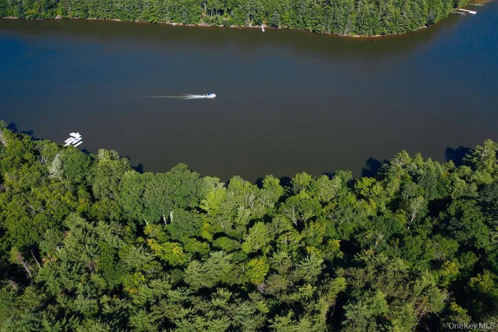 Lot 1 Woodstone Trail, Lumberland, NY 12737