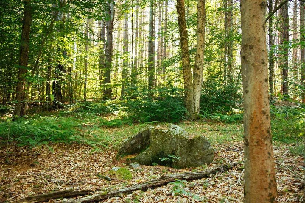 Lot 1 Woodstone Trail, Lumberland, NY 12737