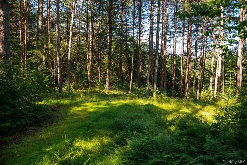 Lot 1 Woodstone Trail, Lumberland, NY 12737