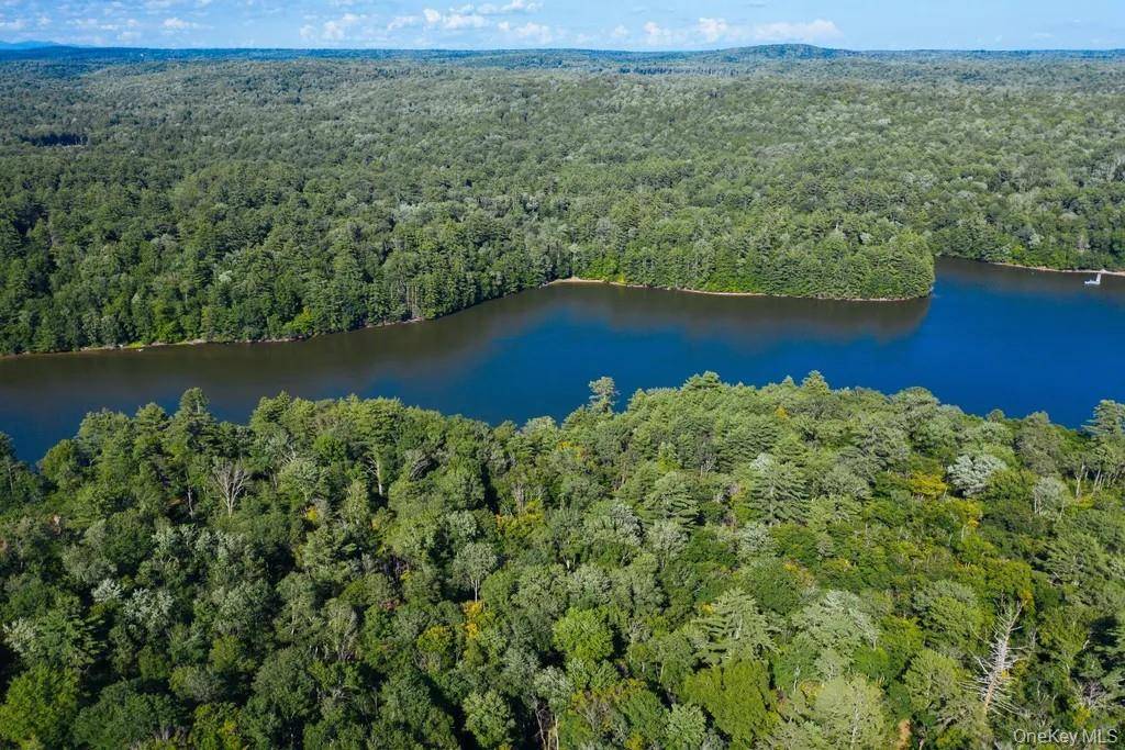 Lot 1 Woodstone Trail, Lumberland, NY 12737