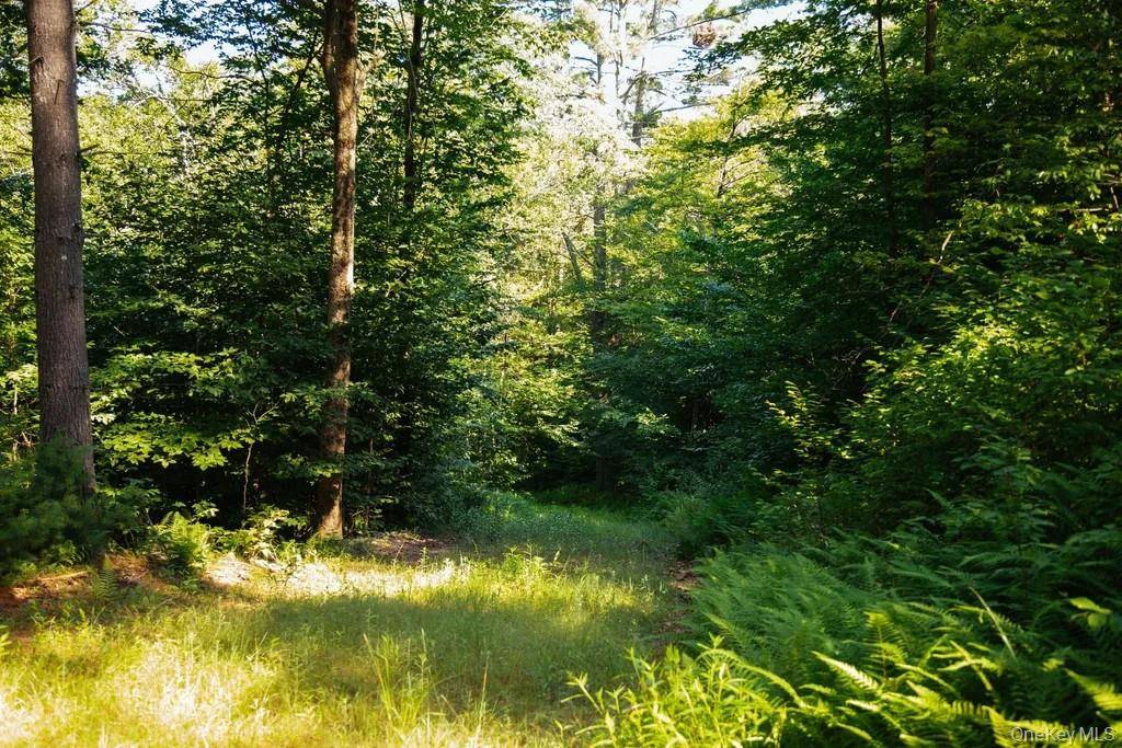 Lot 1 Woodstone Trail, Lumberland, NY 12737