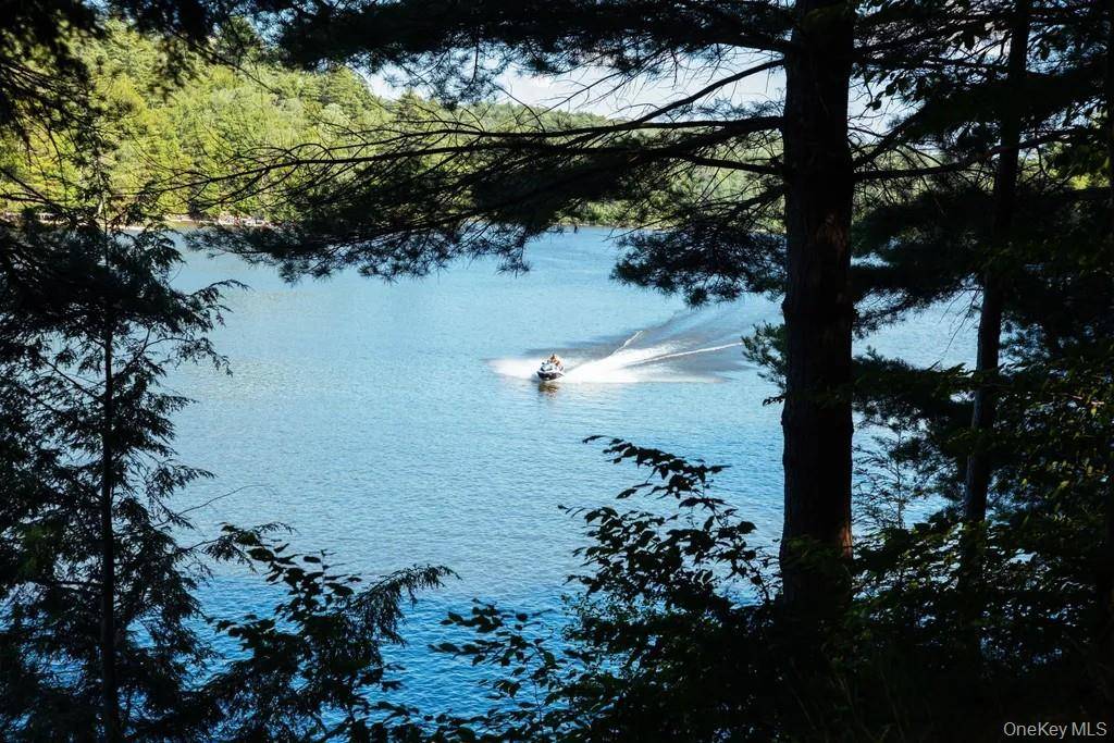 Lot 2 Woodstone Trail, Lumberland, NY 12737